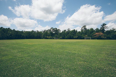 green grass field