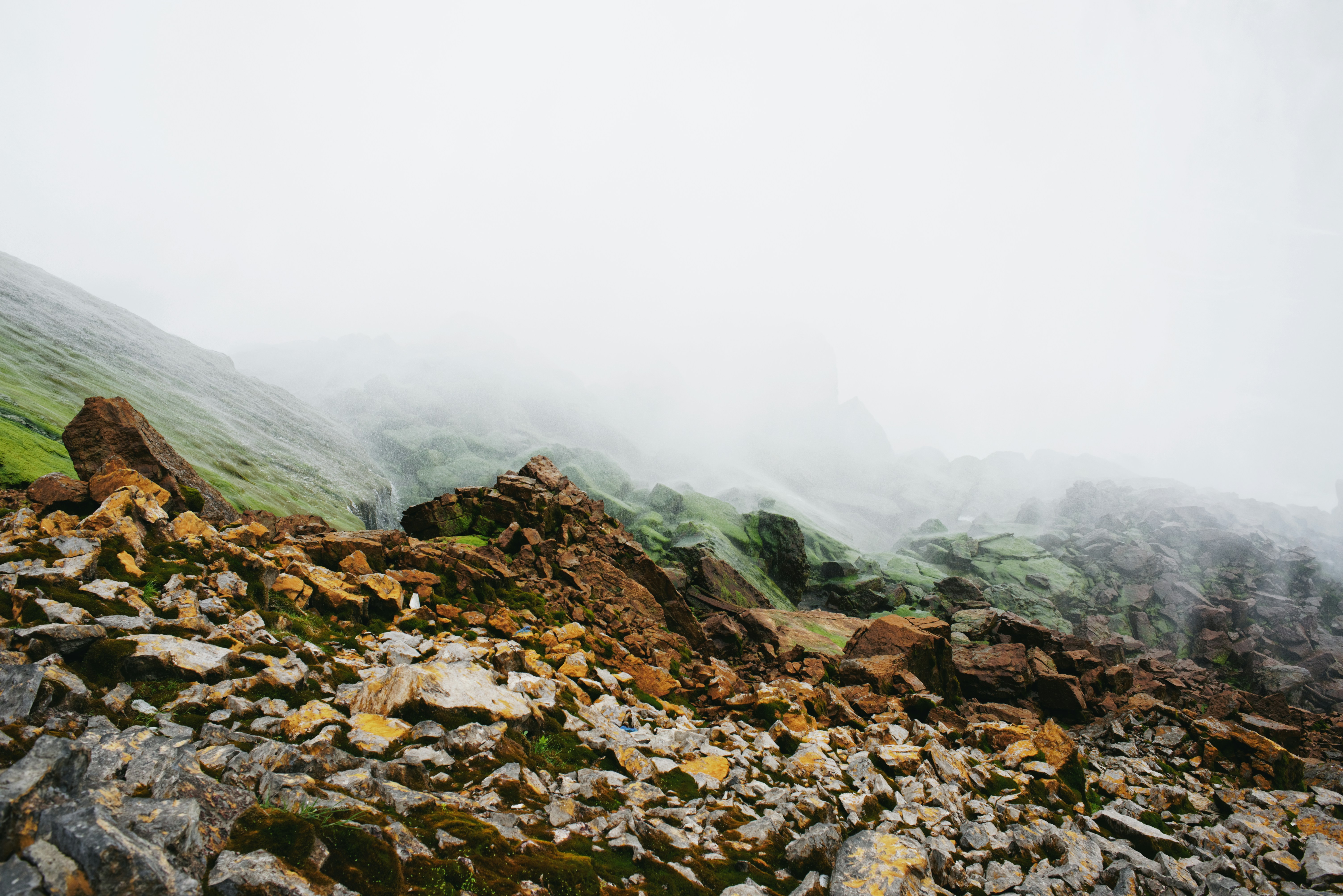 Free Unsplash photo from Marcos Meng