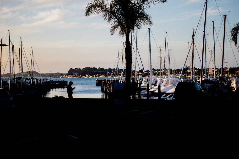 boat lot on body of water