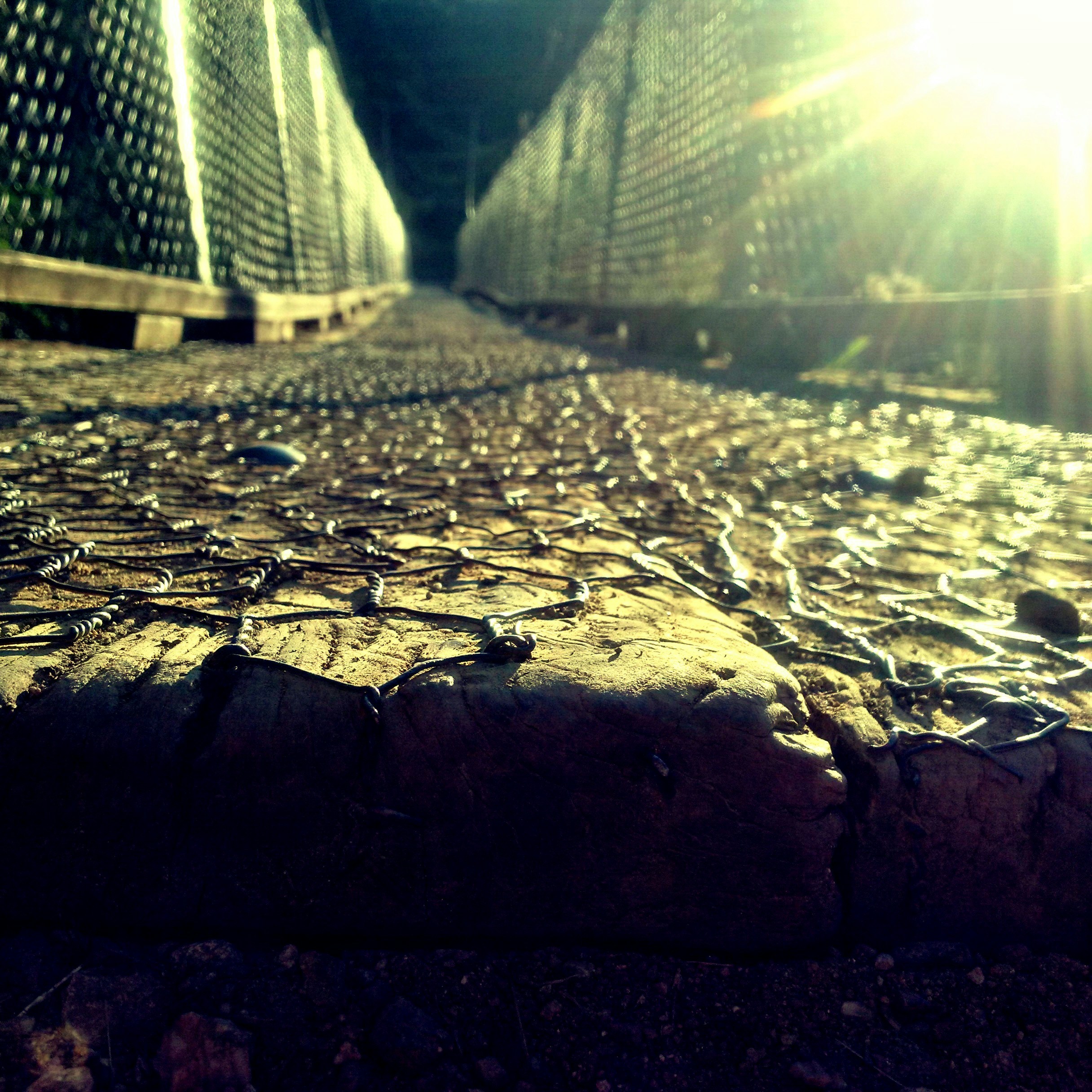 Free Unsplash photo from Someone ...