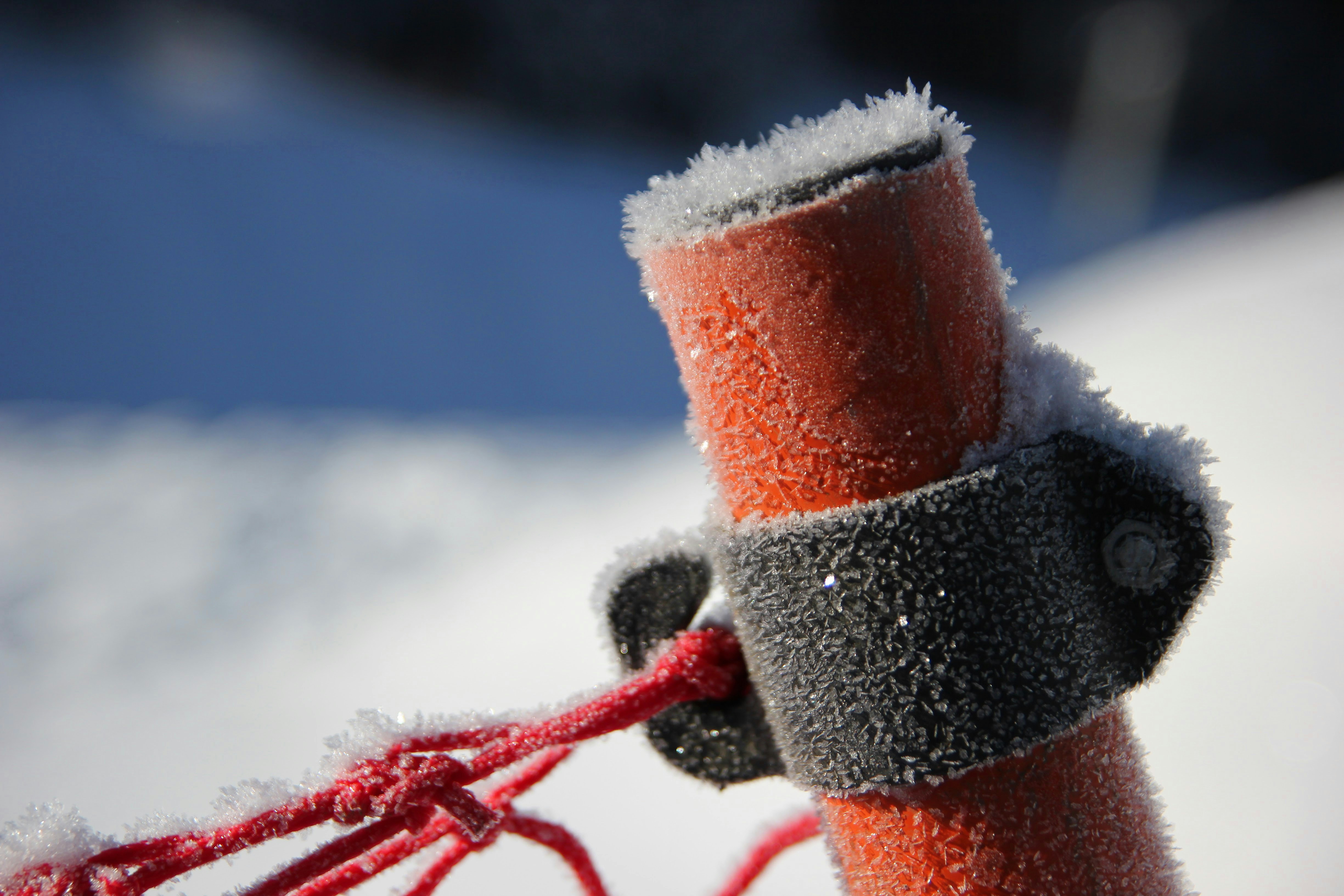 Free Unsplash photo from Dan Paul