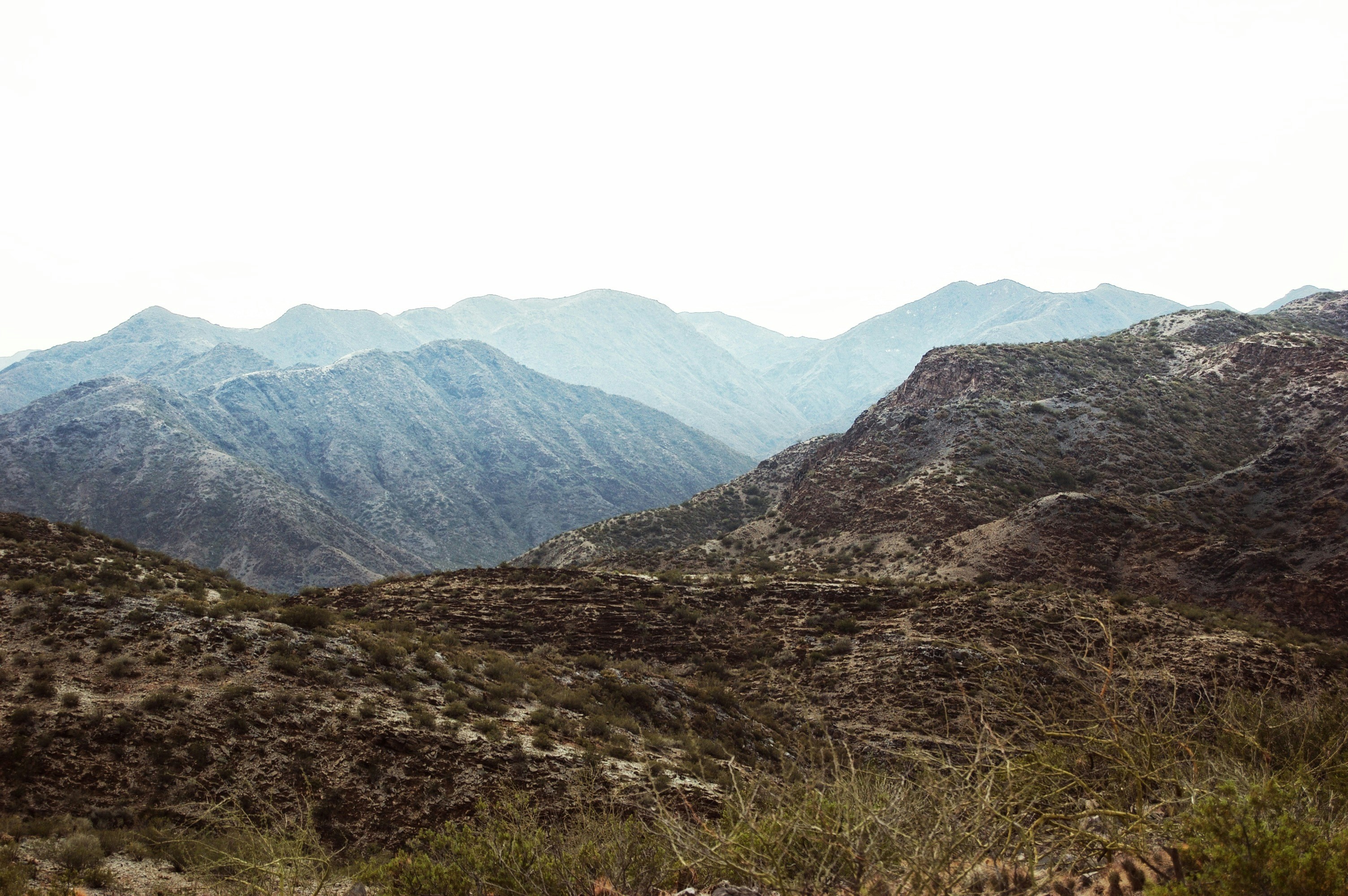 Free Unsplash photo from Gabriela Parra