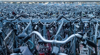 assorted bicycle lot