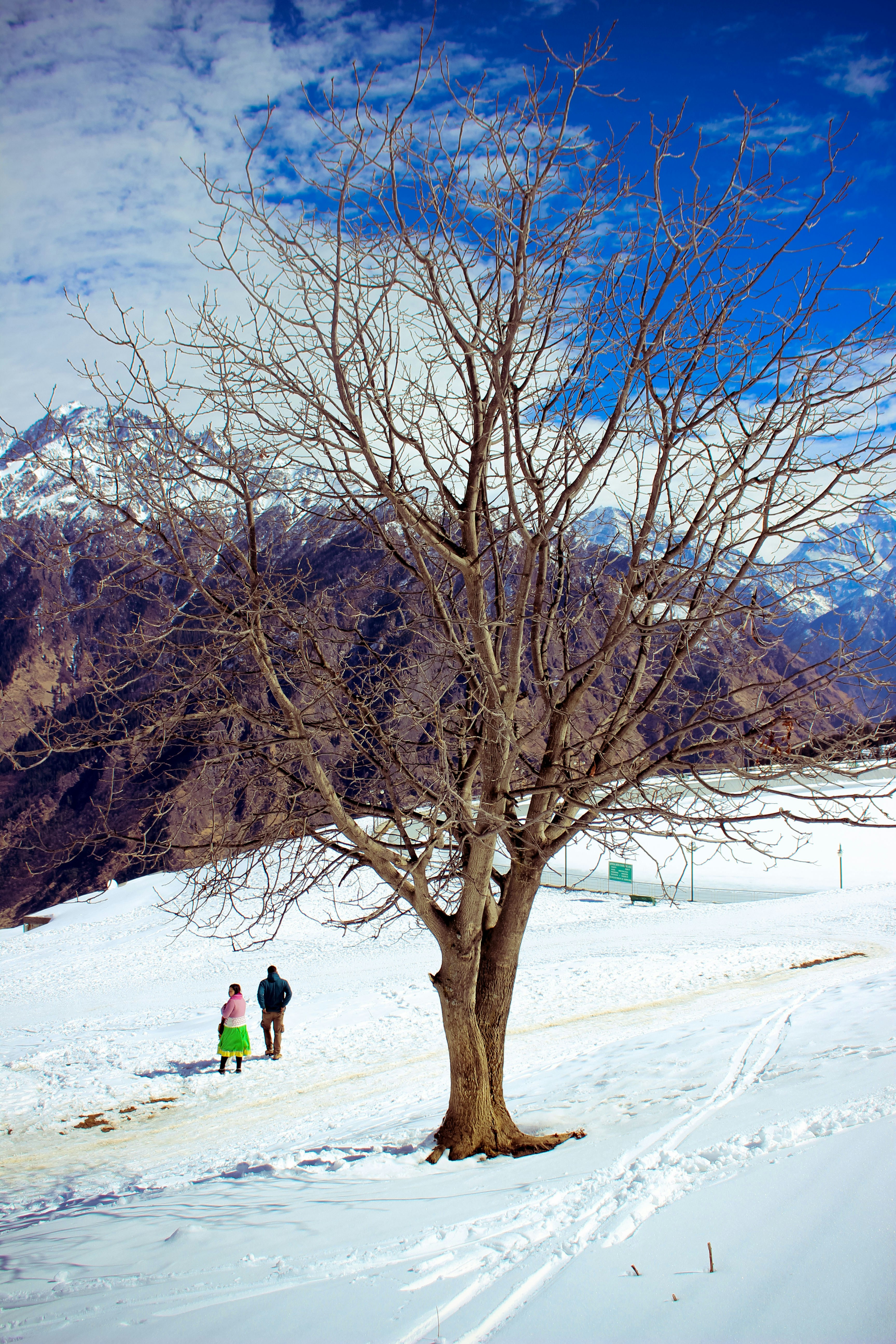 Free Unsplash photo from Amit Shaw