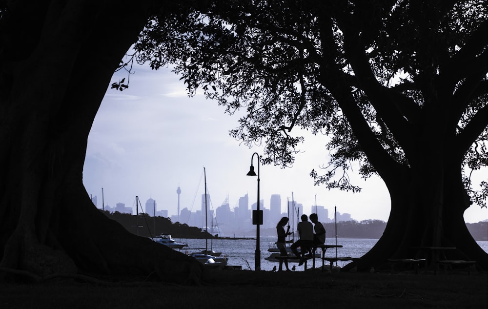 silhouette of people sitting on bench near body of water during daytime