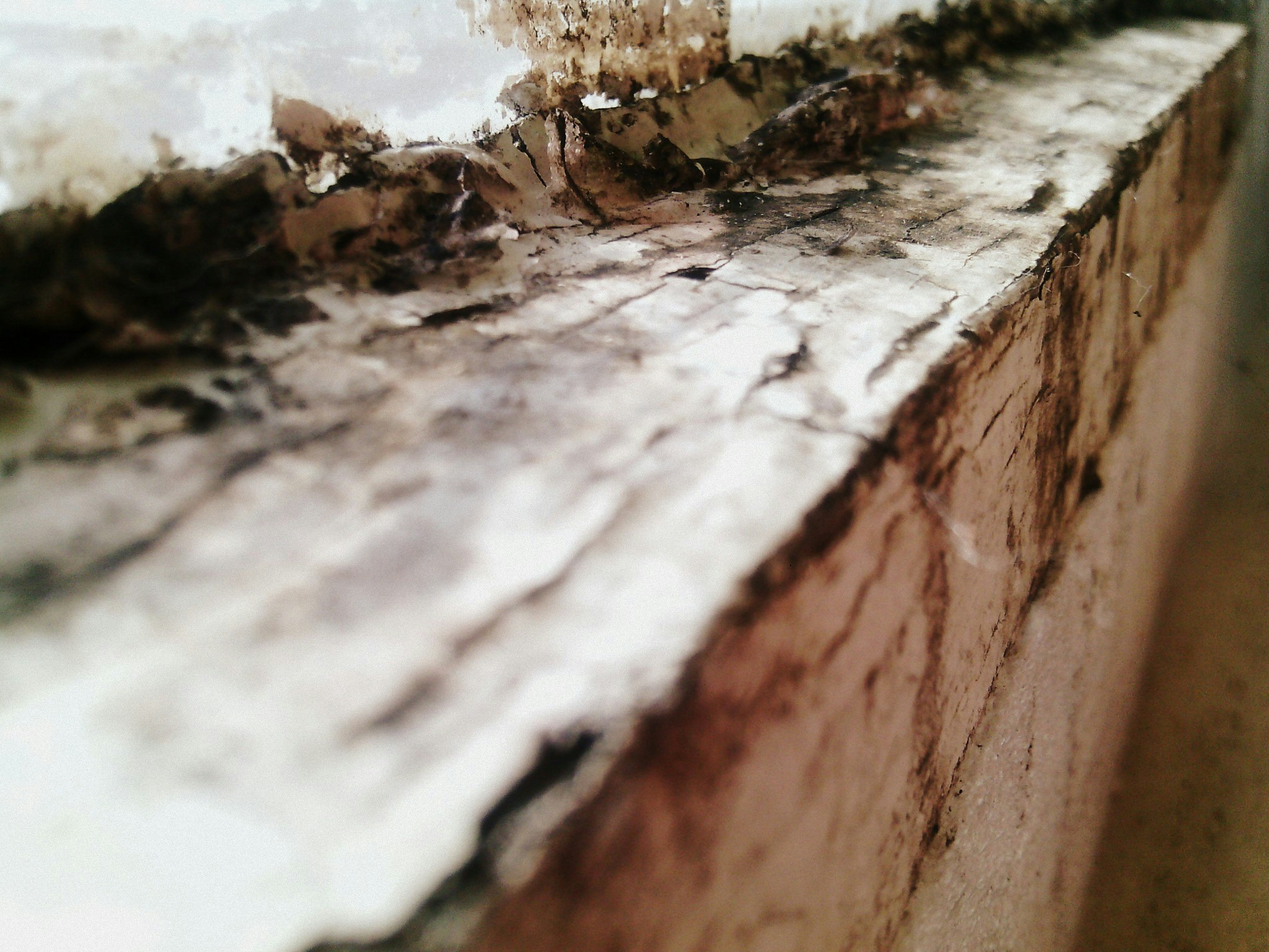 Free Unsplash photo from Slava Paste