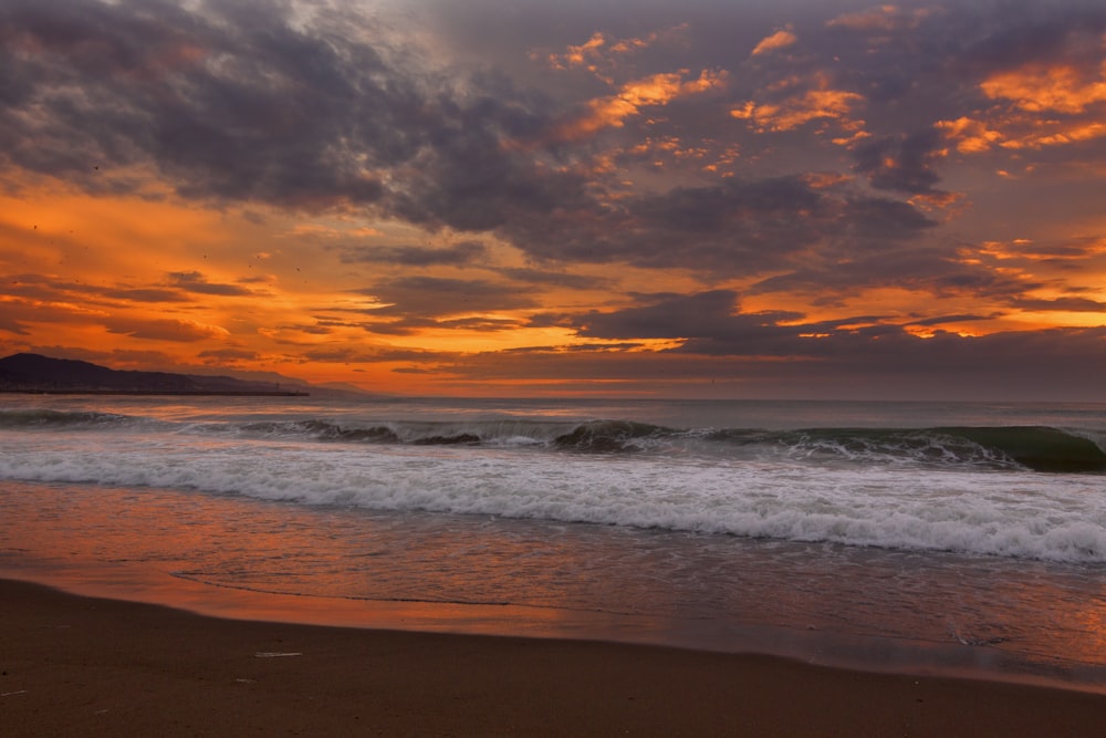 Seashort unter orangefarbenem Himmel