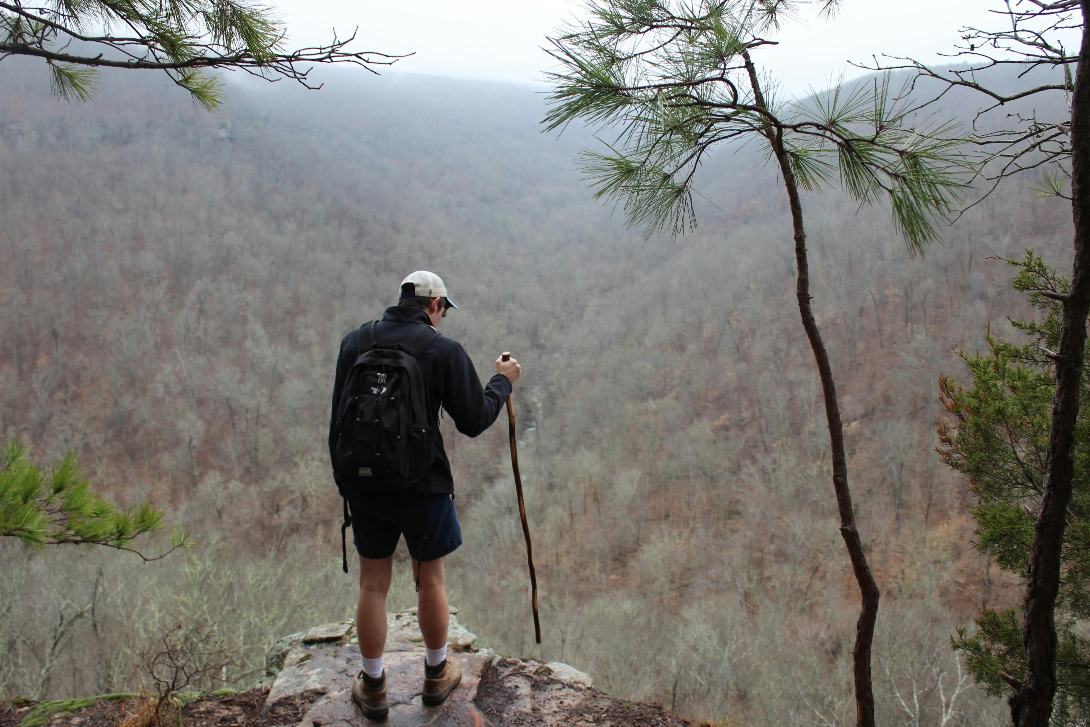 Free Unsplash photo from Karly  Gibbs