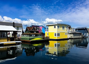 Colorful houseboats floating on the Dal Lake in Kashmir.
