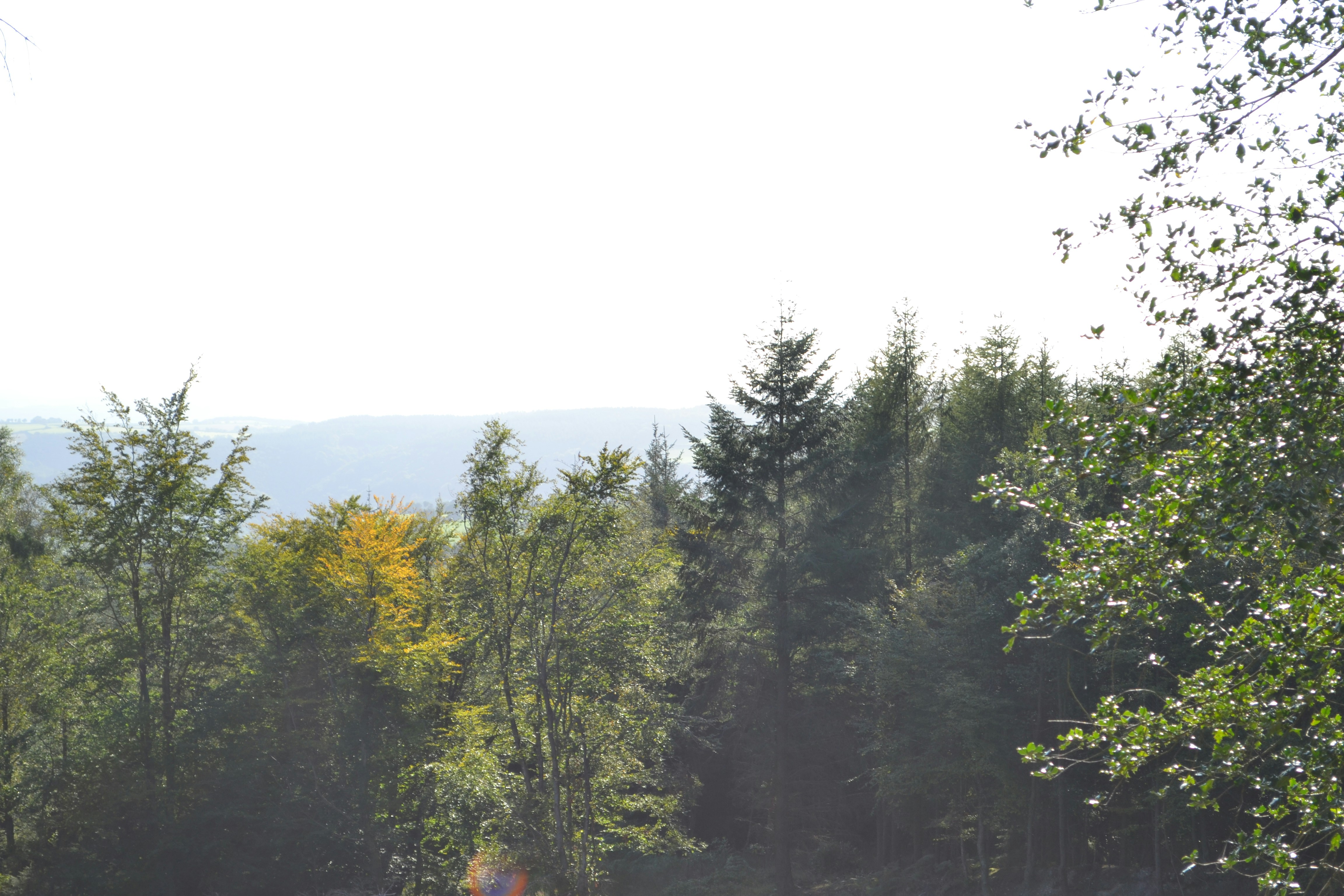 Free Unsplash photo from Cherie Xox