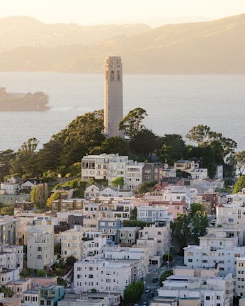 Sunlit view of the three elegant towers with lush greenery surrounding the base.