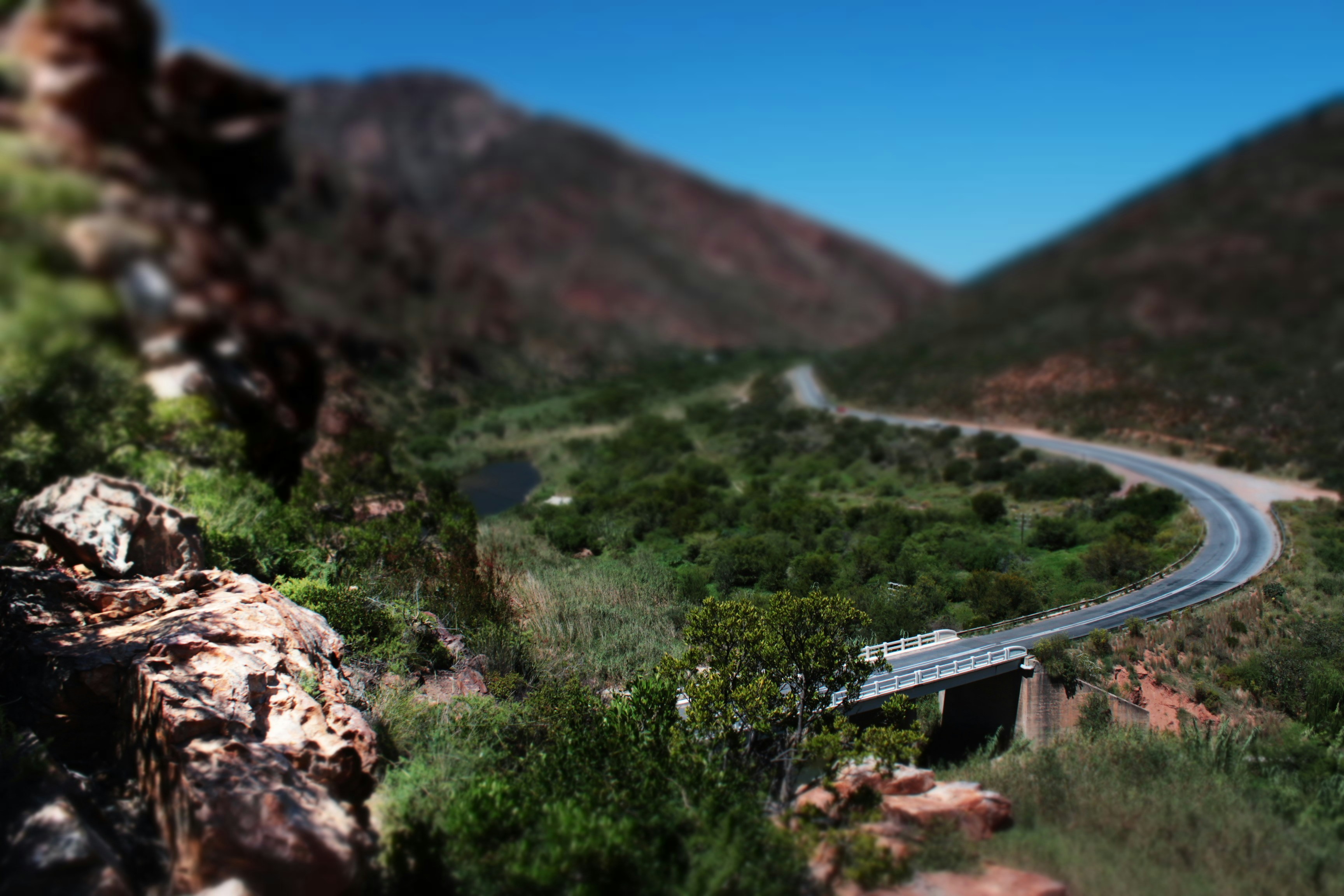 Free Unsplash photo from Rudi Strydom