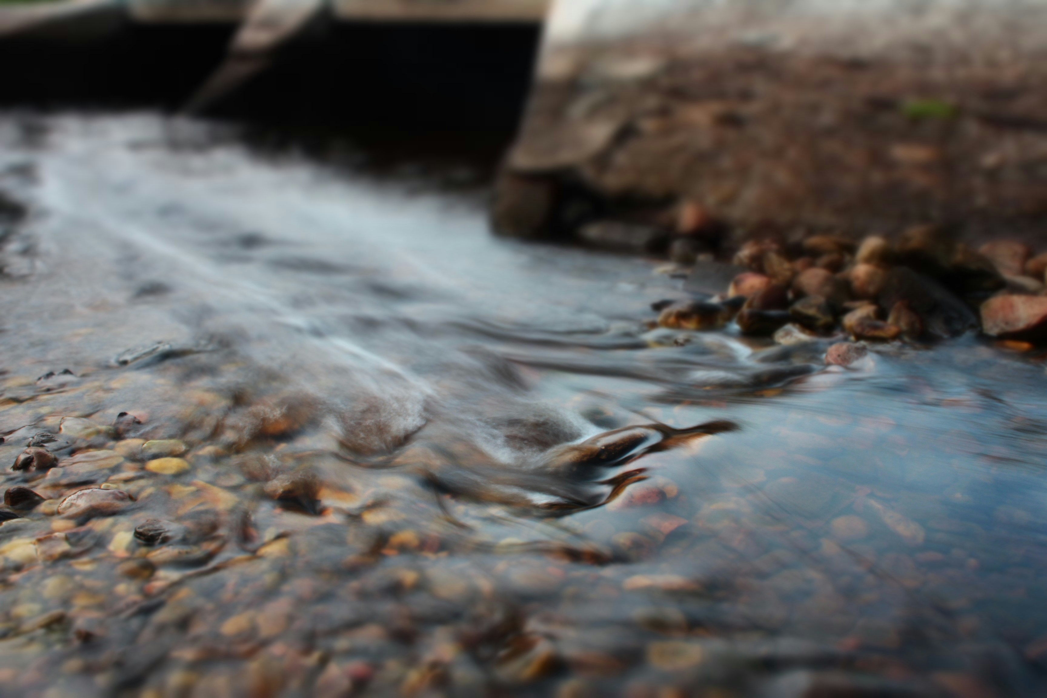 Free Unsplash photo from Rudi Strydom