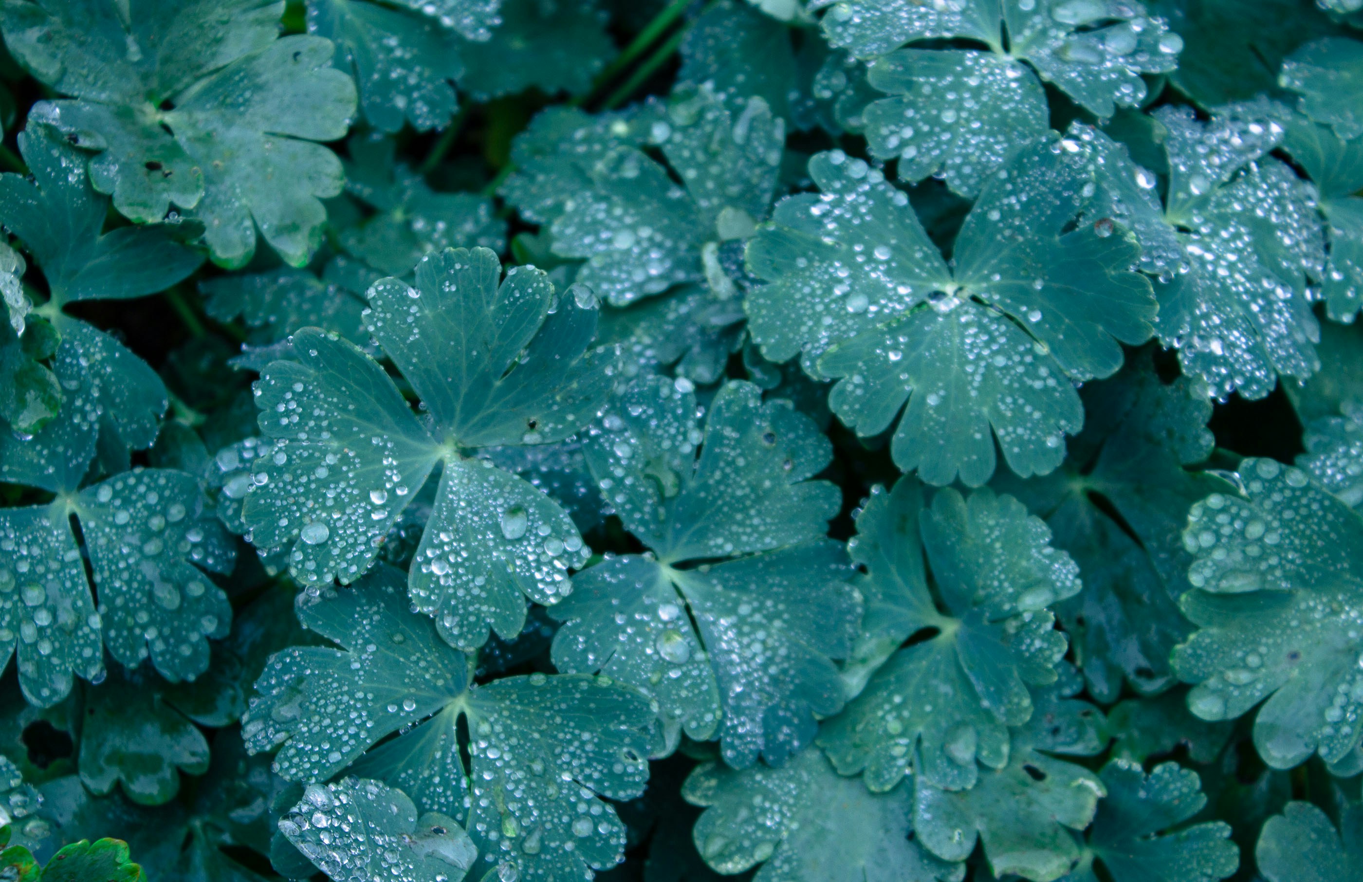 Free Unsplash photo from Rudi Strydom