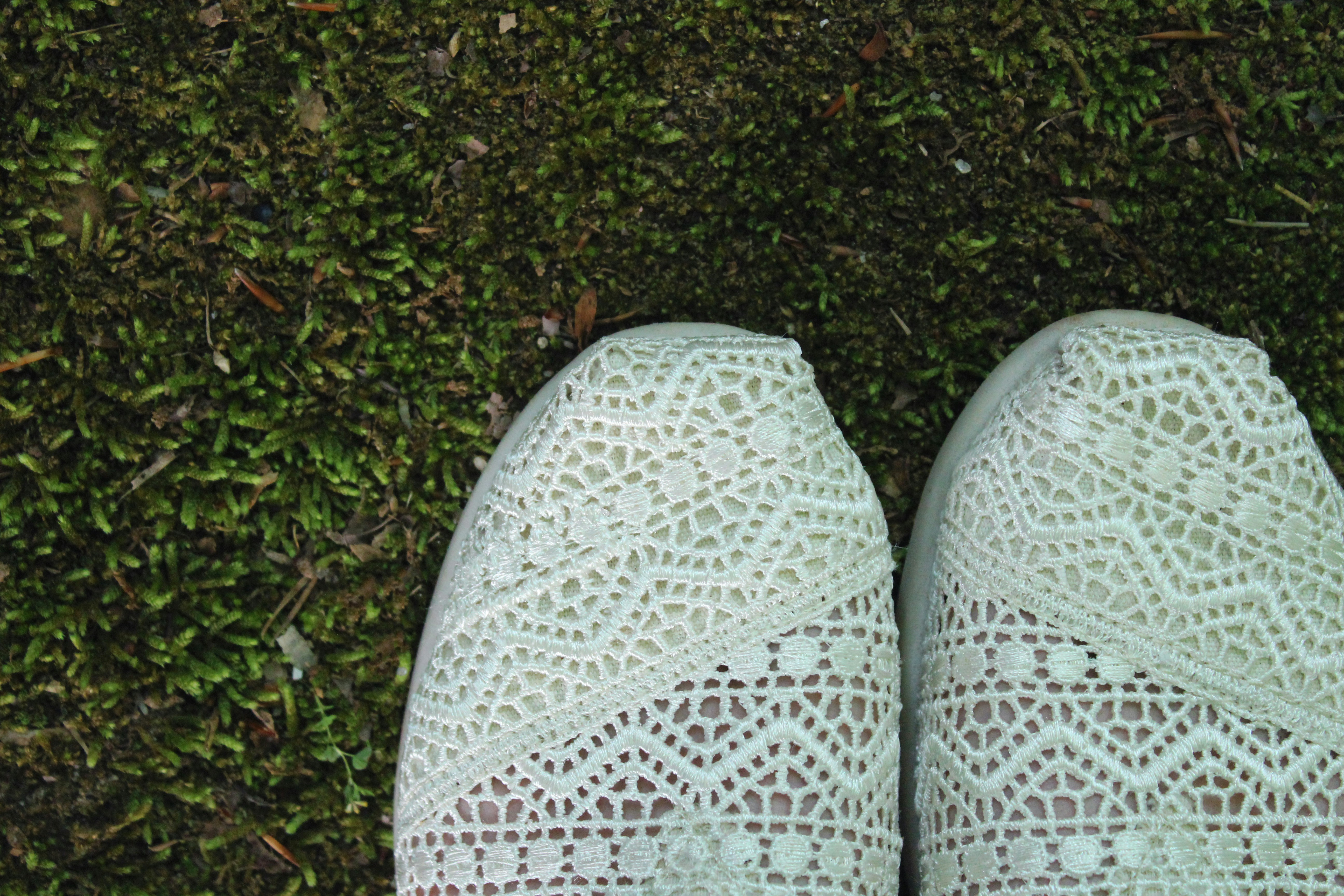 Free Unsplash photo from Gretchen