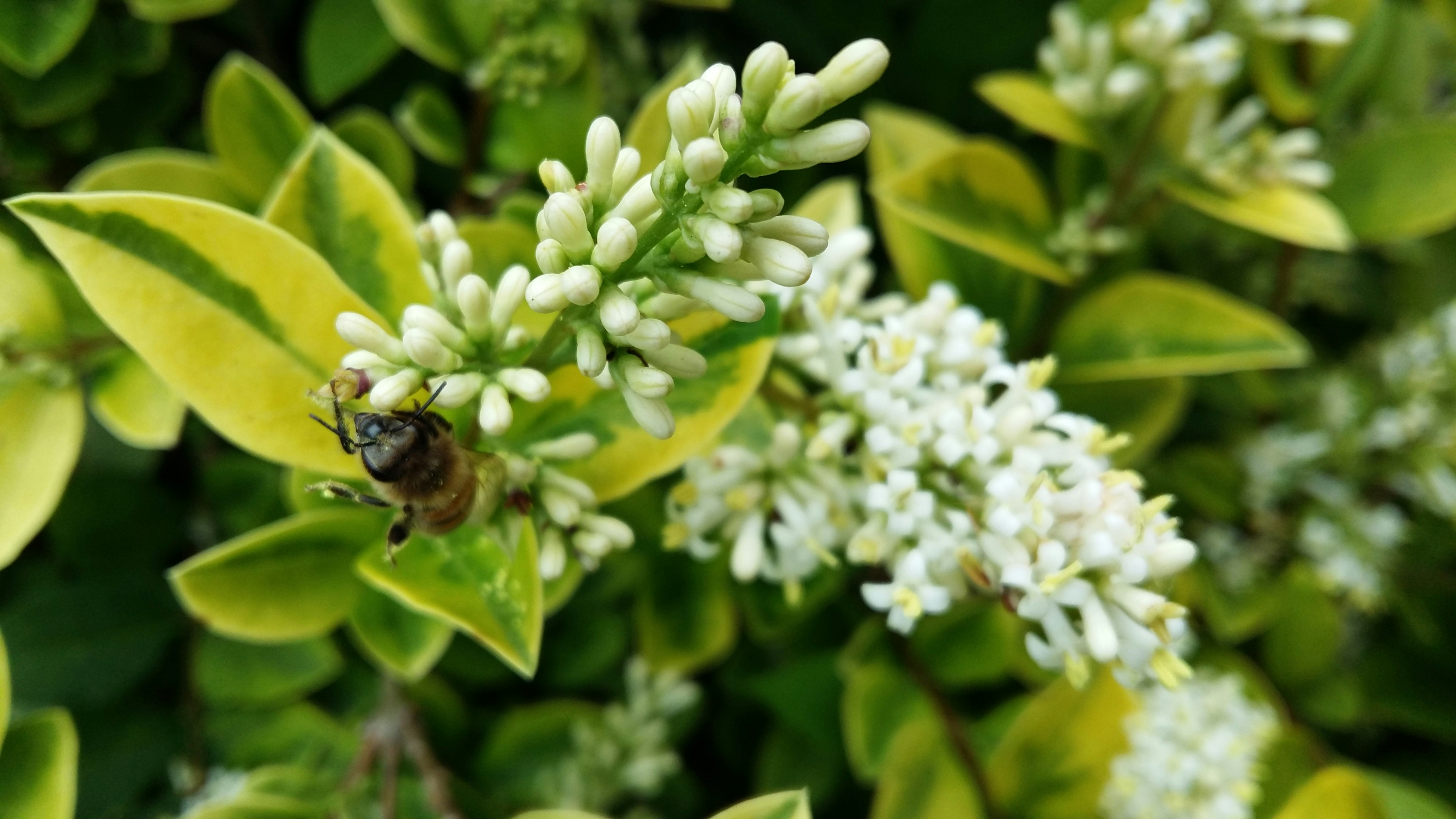 Free Unsplash photo from Carlos Ingegneri