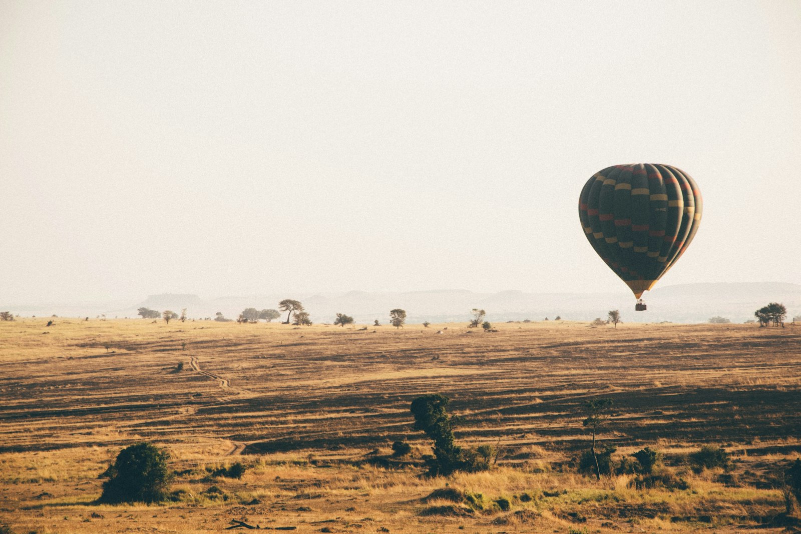 Nikon D5300 + Nikon AF-S DX Nikkor 18-105mm F3.5-5.6G ED VR sample photo. Brown hot air balloon photography