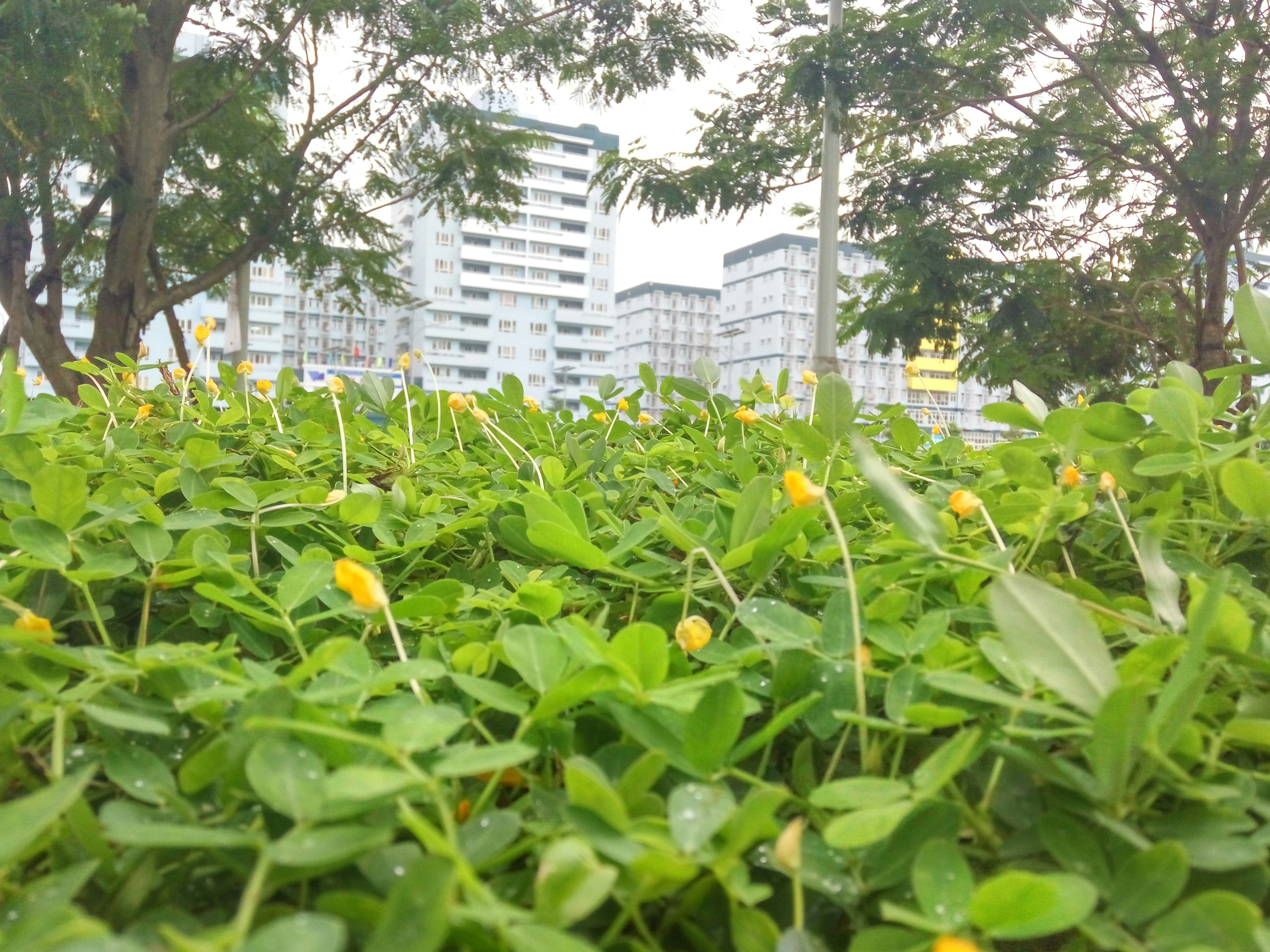 Free Unsplash photo from Van-Duyet Le