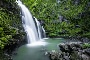 shallow focus photography of water falls