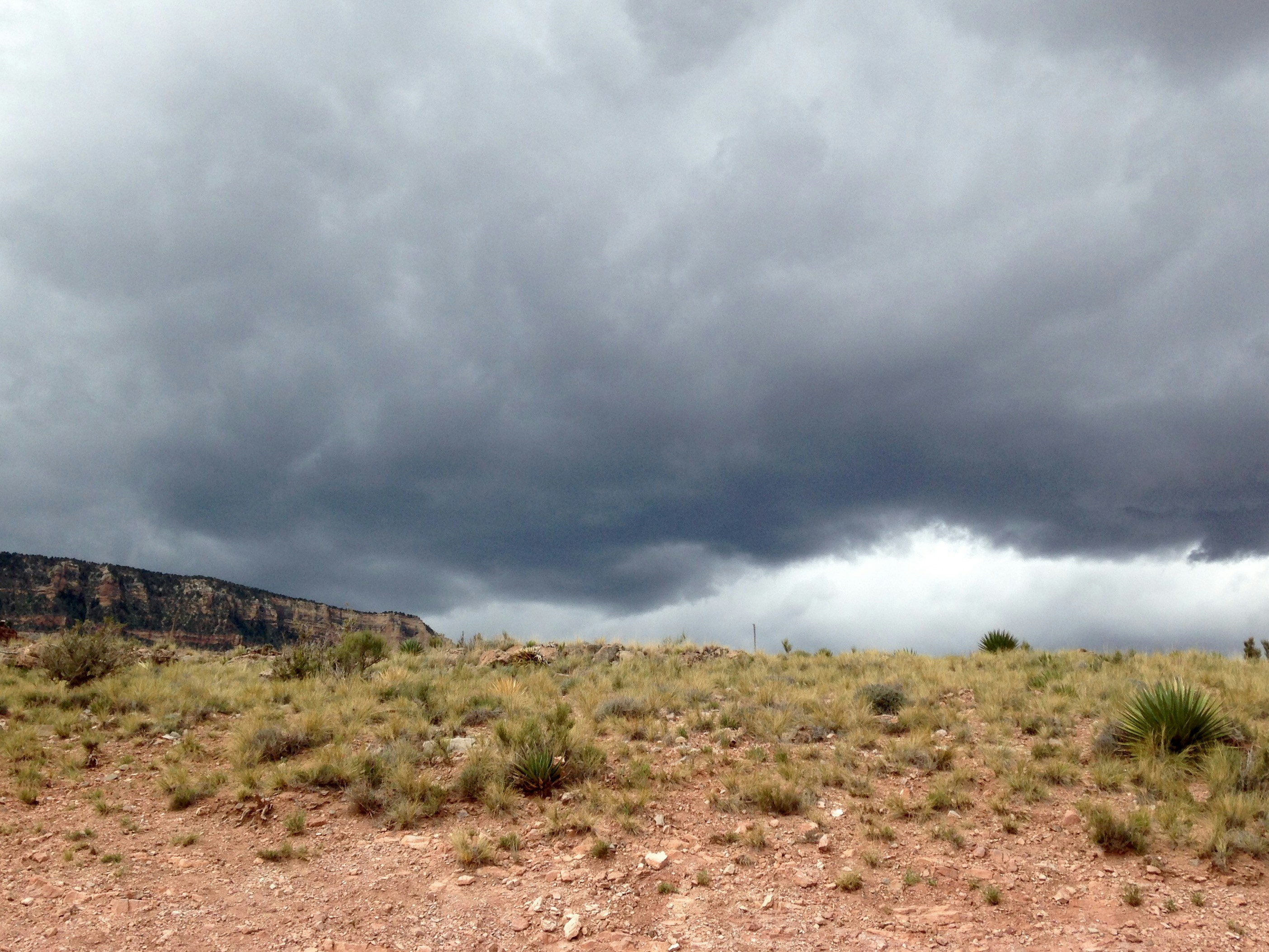 Free Unsplash photo from Laura Colquitt