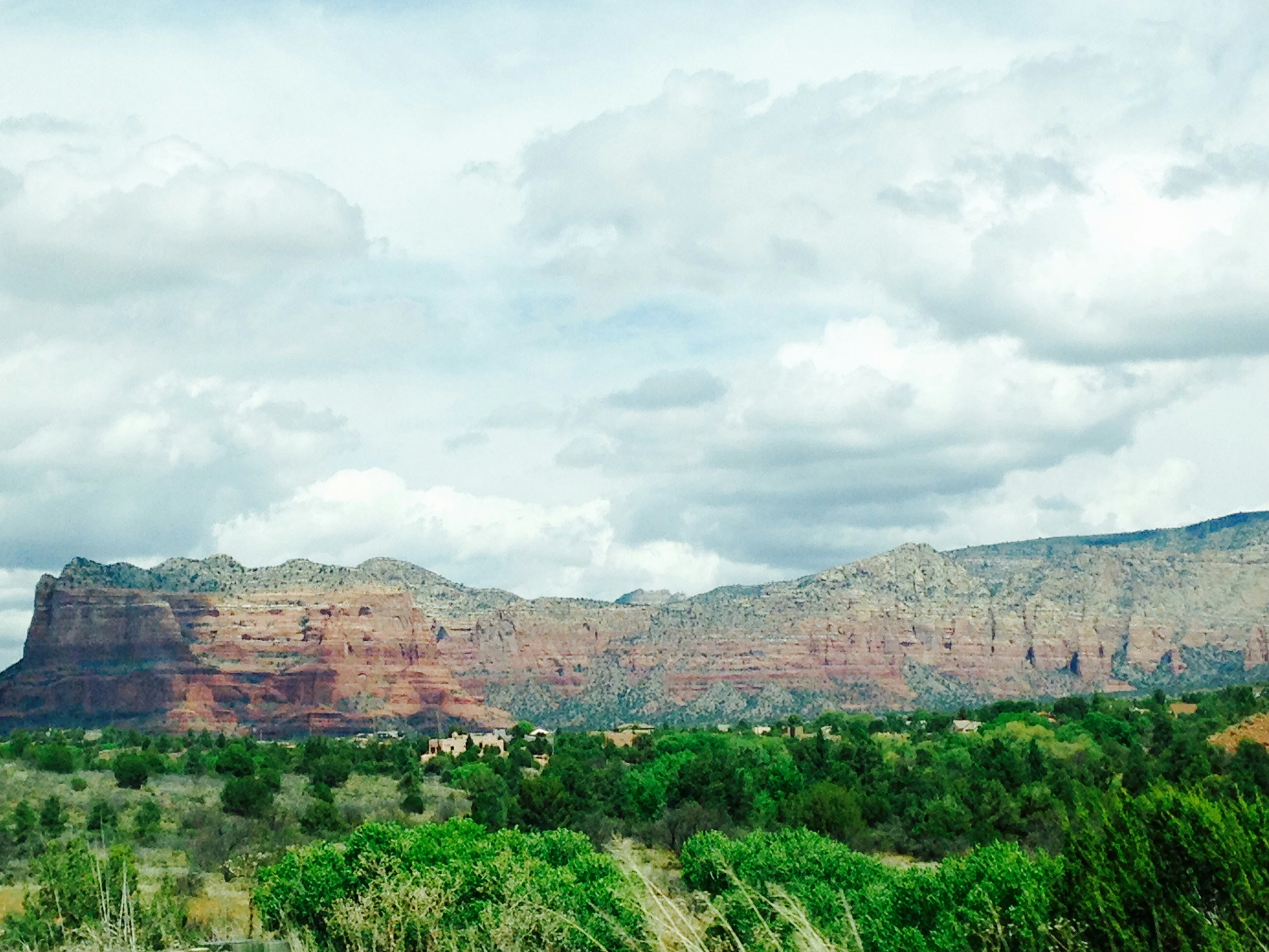 Free Unsplash photo from Laura Colquitt