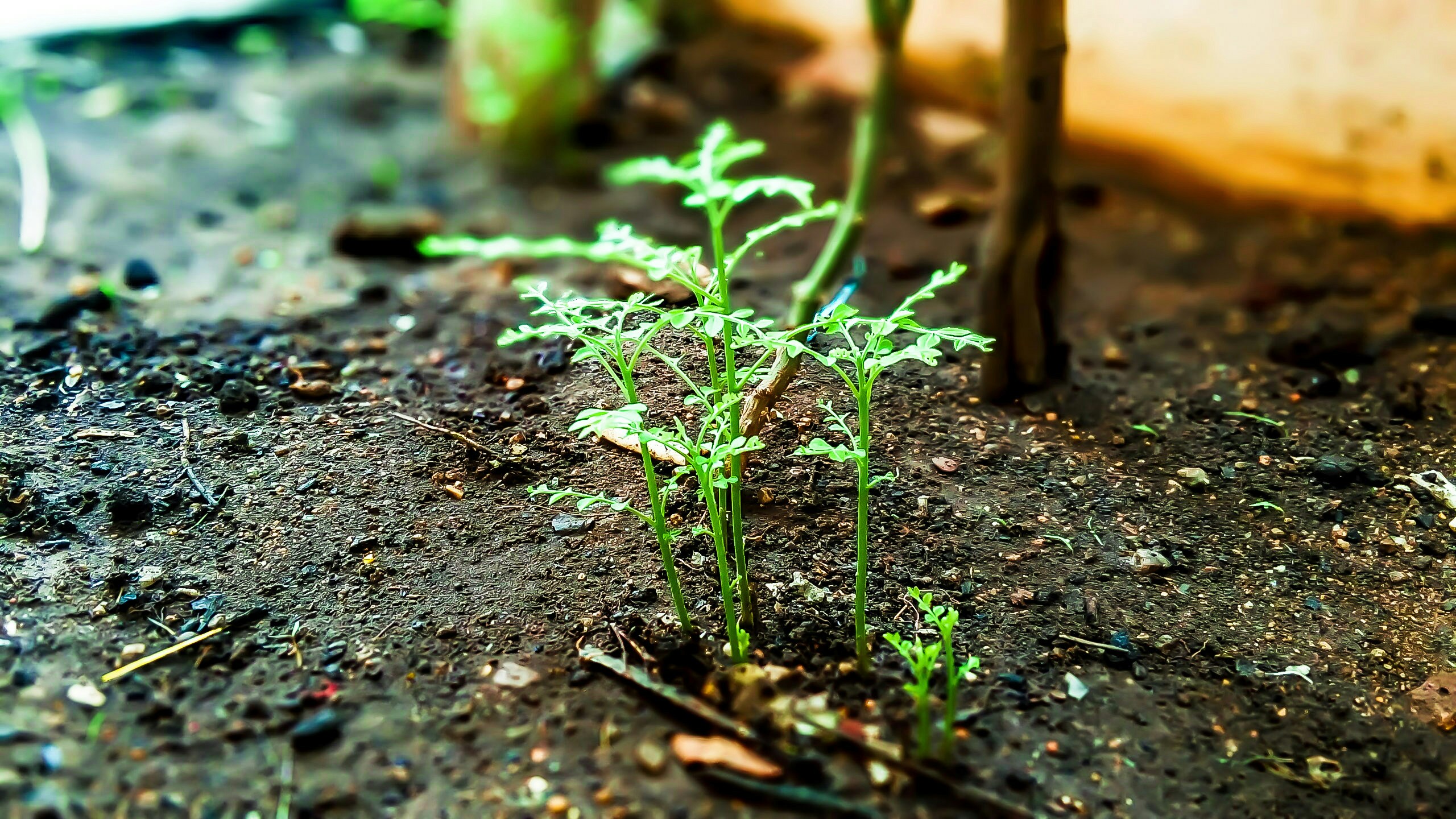 Free Unsplash photo from Anudeep Bobby