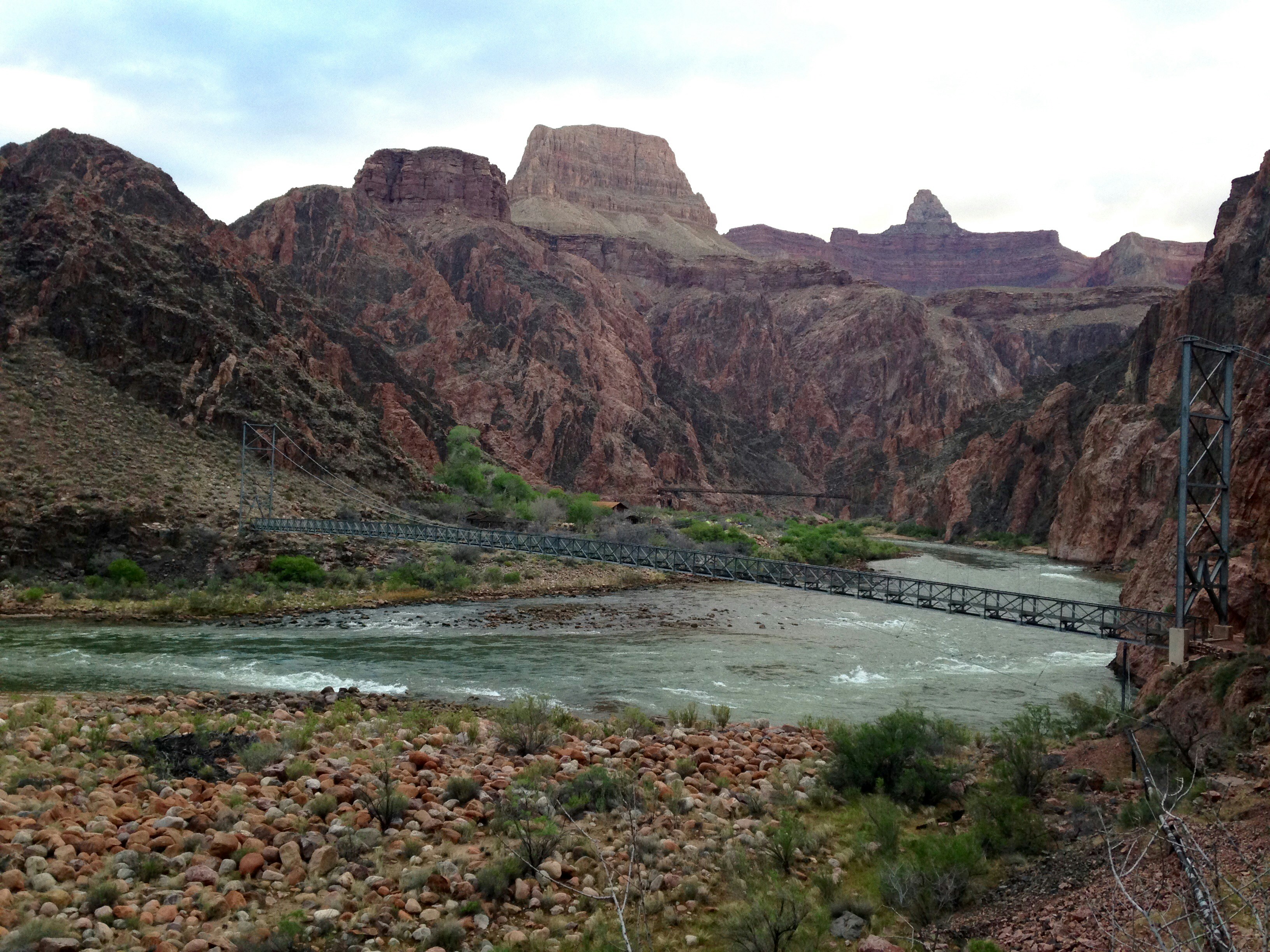 Free Unsplash photo from Laura Colquitt