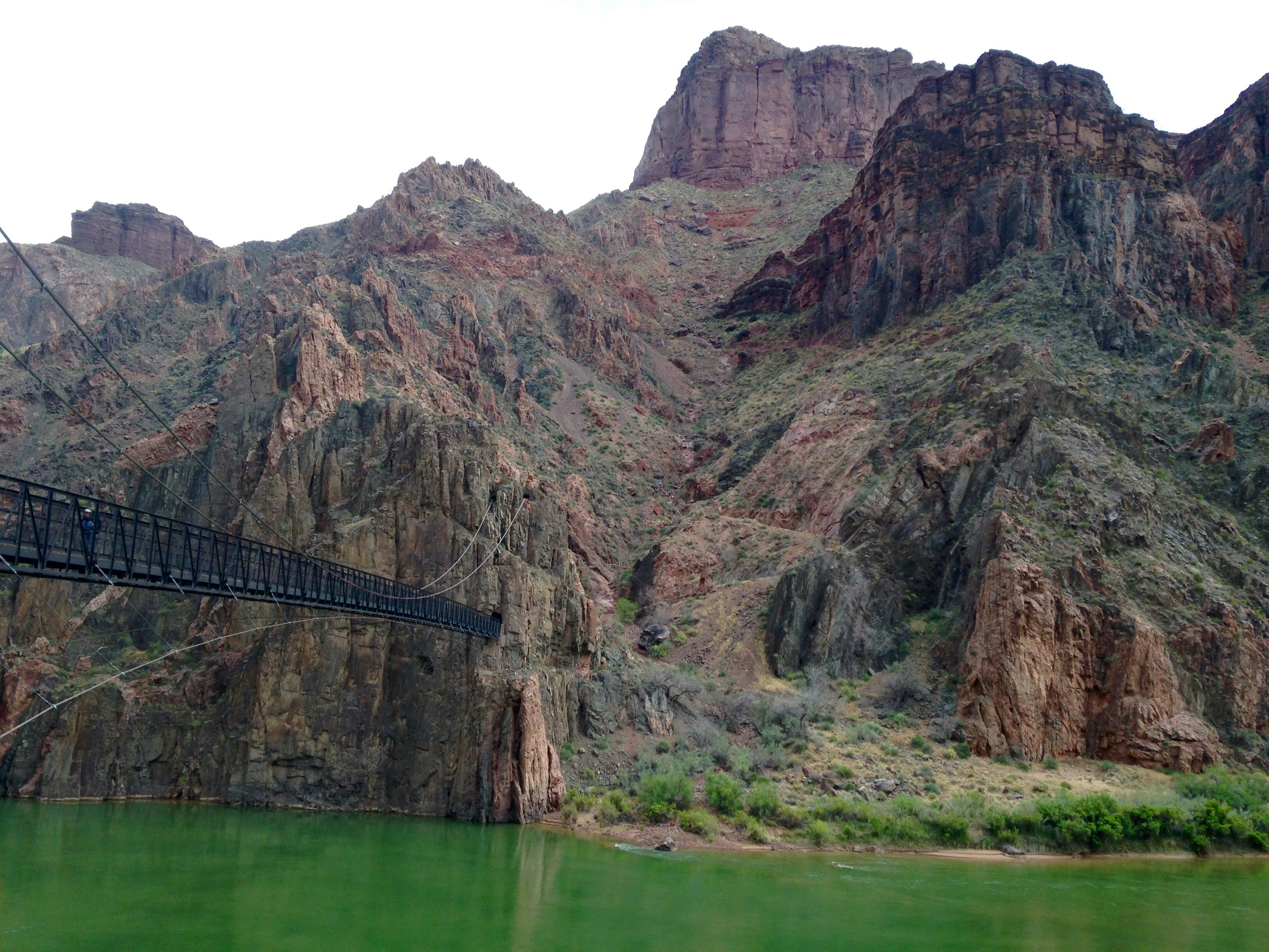 Free Unsplash photo from Laura Colquitt