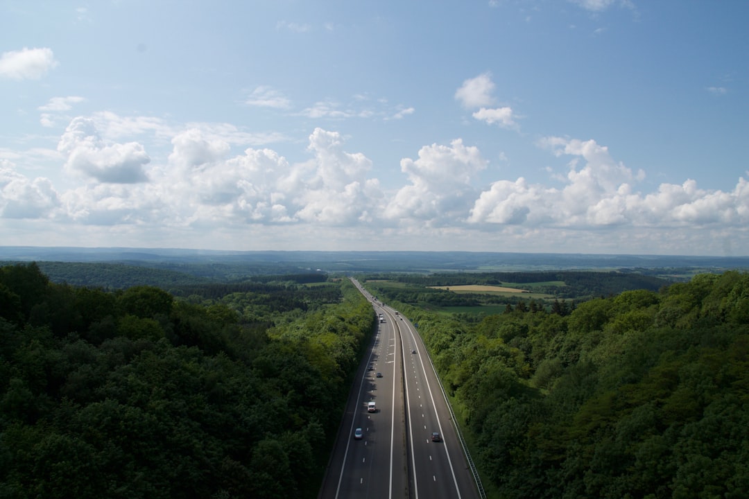 aerial photography of roads surrounded by trees