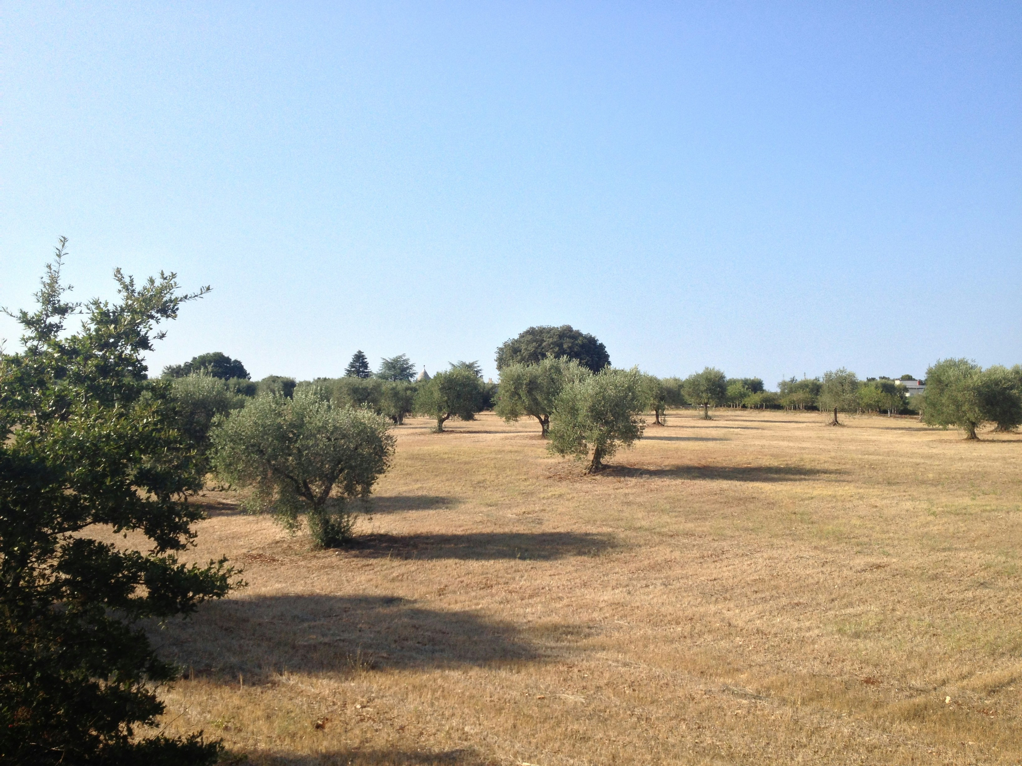 Free Unsplash photo from Donato Tinelli