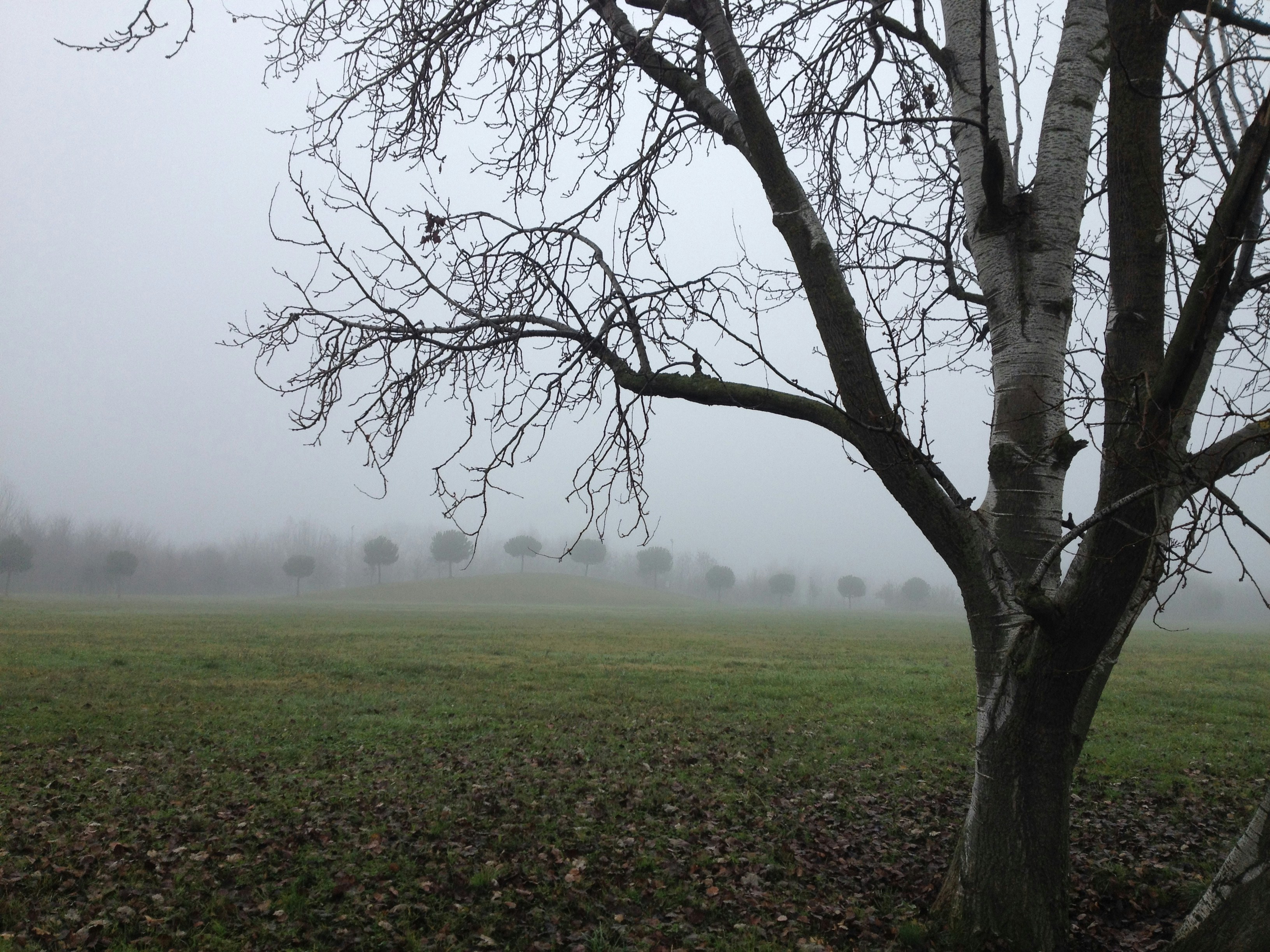 Free Unsplash photo from Donato Tinelli