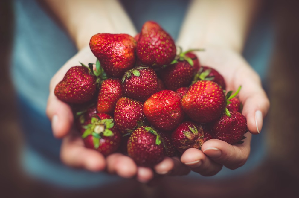 flache Fokusfotografie von Erdbeeren auf der Handfläche einer Person