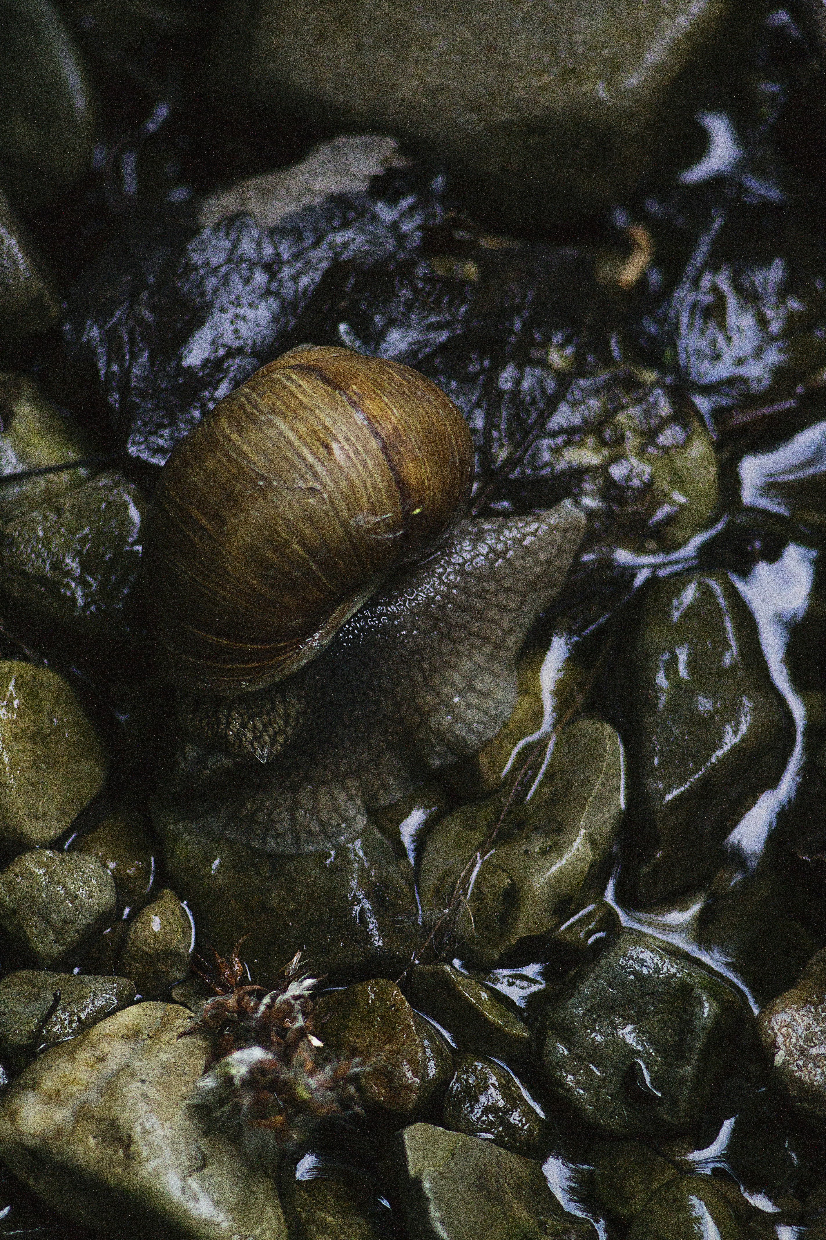 Free Unsplash photo from Roksolana Zasiadko