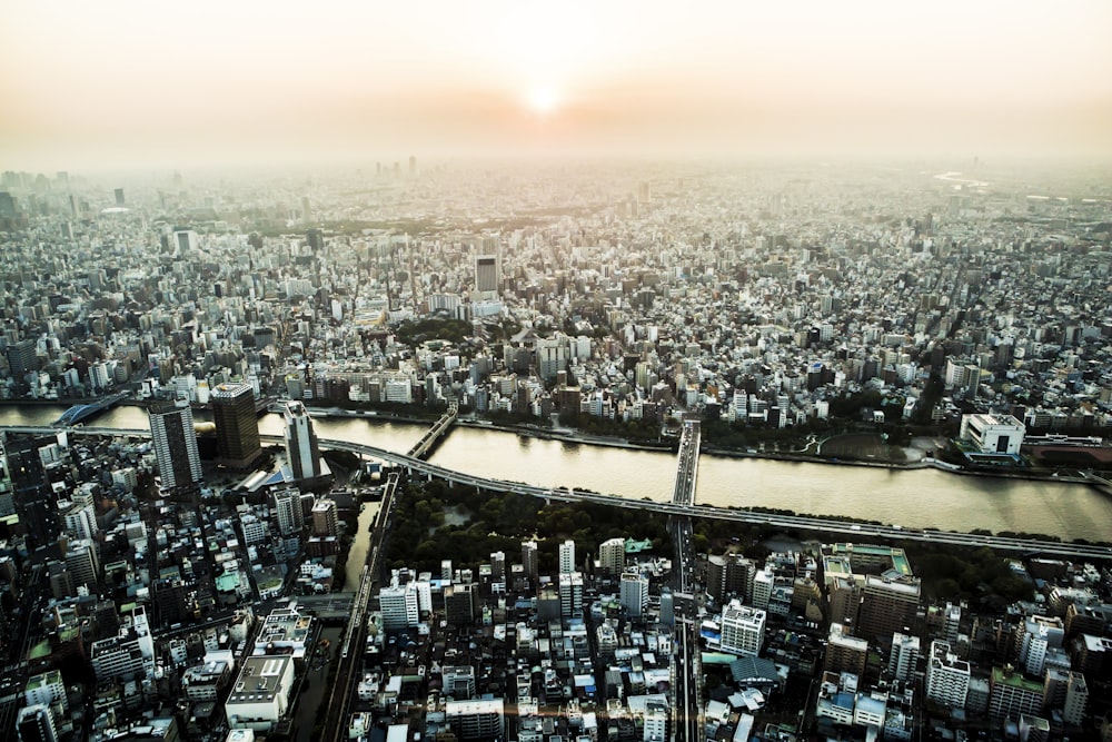 top view photography of city building