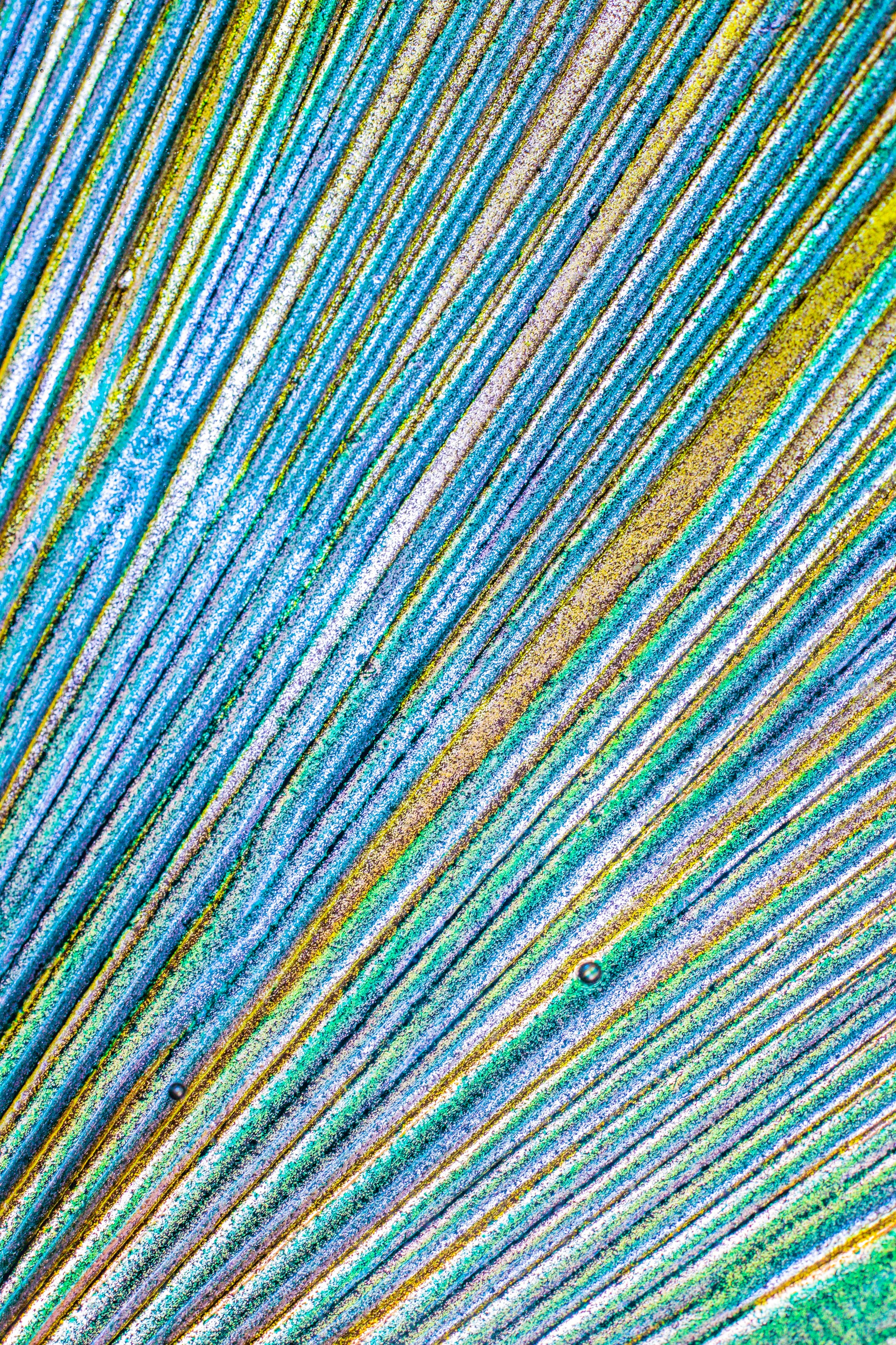 a close up view of a peacock's tail feathers