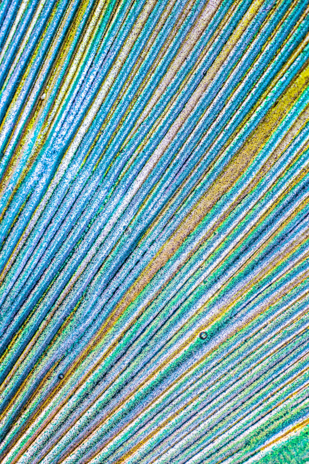 a close up view of a peacock's tail feathers