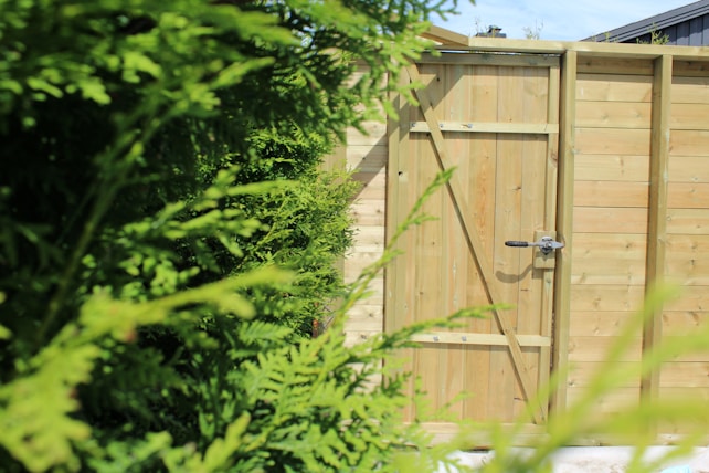 A wooden fence featuring a sturdy door secured with a metal latch is partially concealed by vibrant green foliage, suggesting a garden or backyard setting.