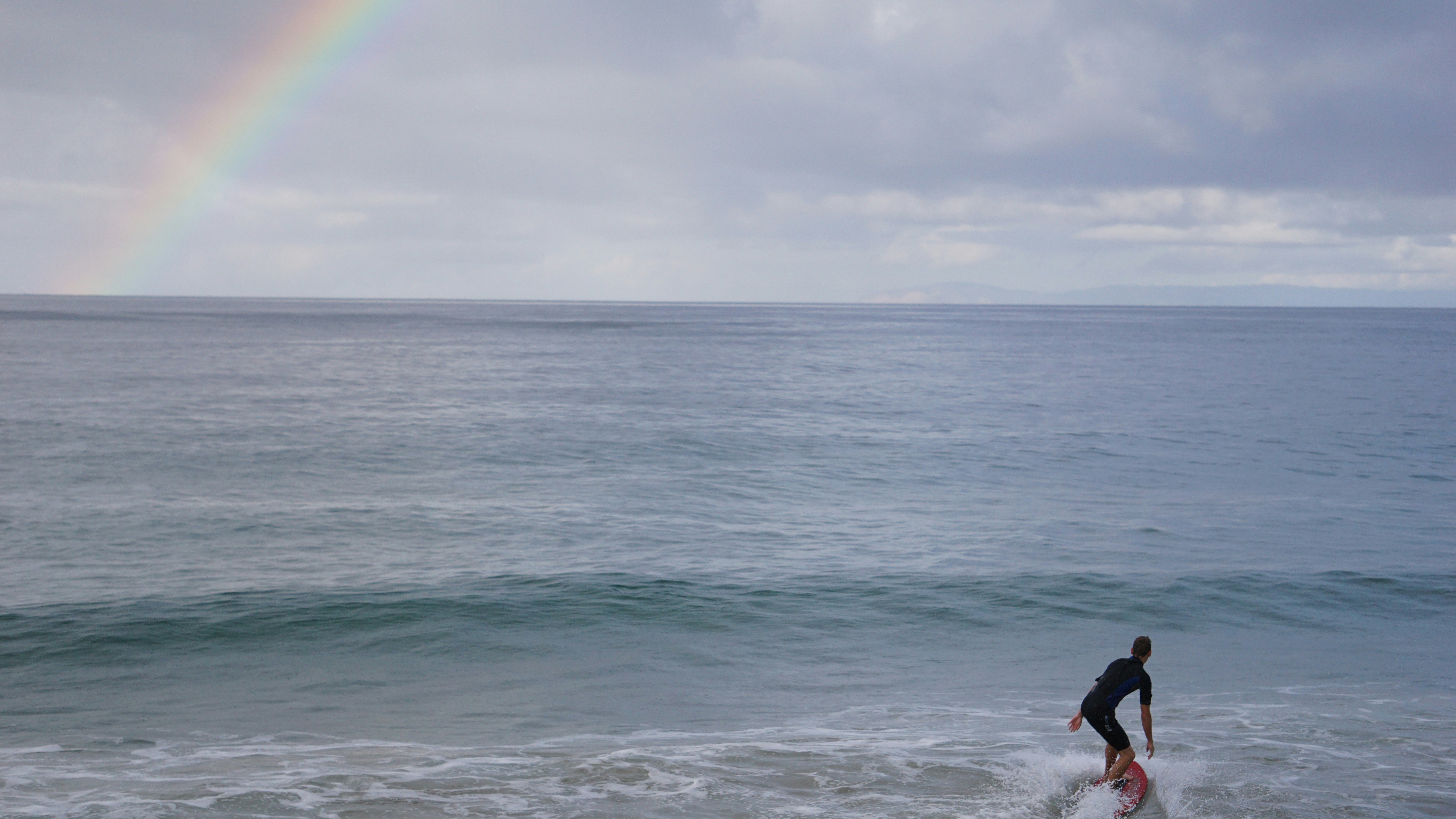 Free Unsplash photo from Brandon Taylor