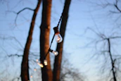 A peaceful outdoor scene at dusk with softly glowing lights hanging among trees.