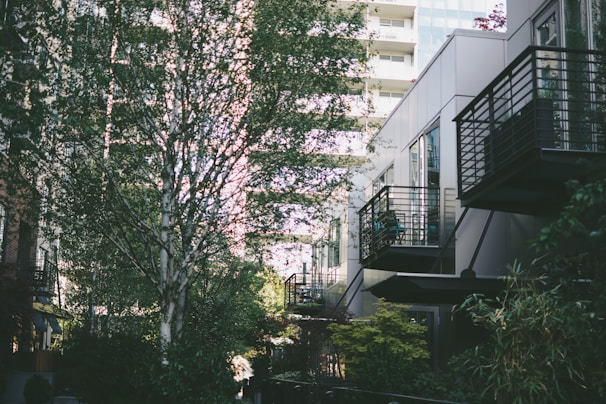 A modern urban scene featuring apartment buildings with balconies surrounded by lush greenery and tall trees. The light filters through the tree leaves, casting shadows and creating a serene atmosphere.