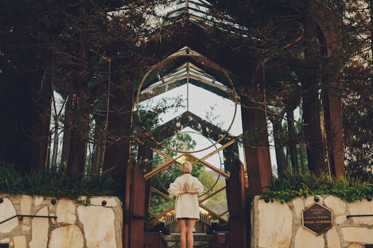 woman standing near green leafed plants in Wayfarers Chapel United States