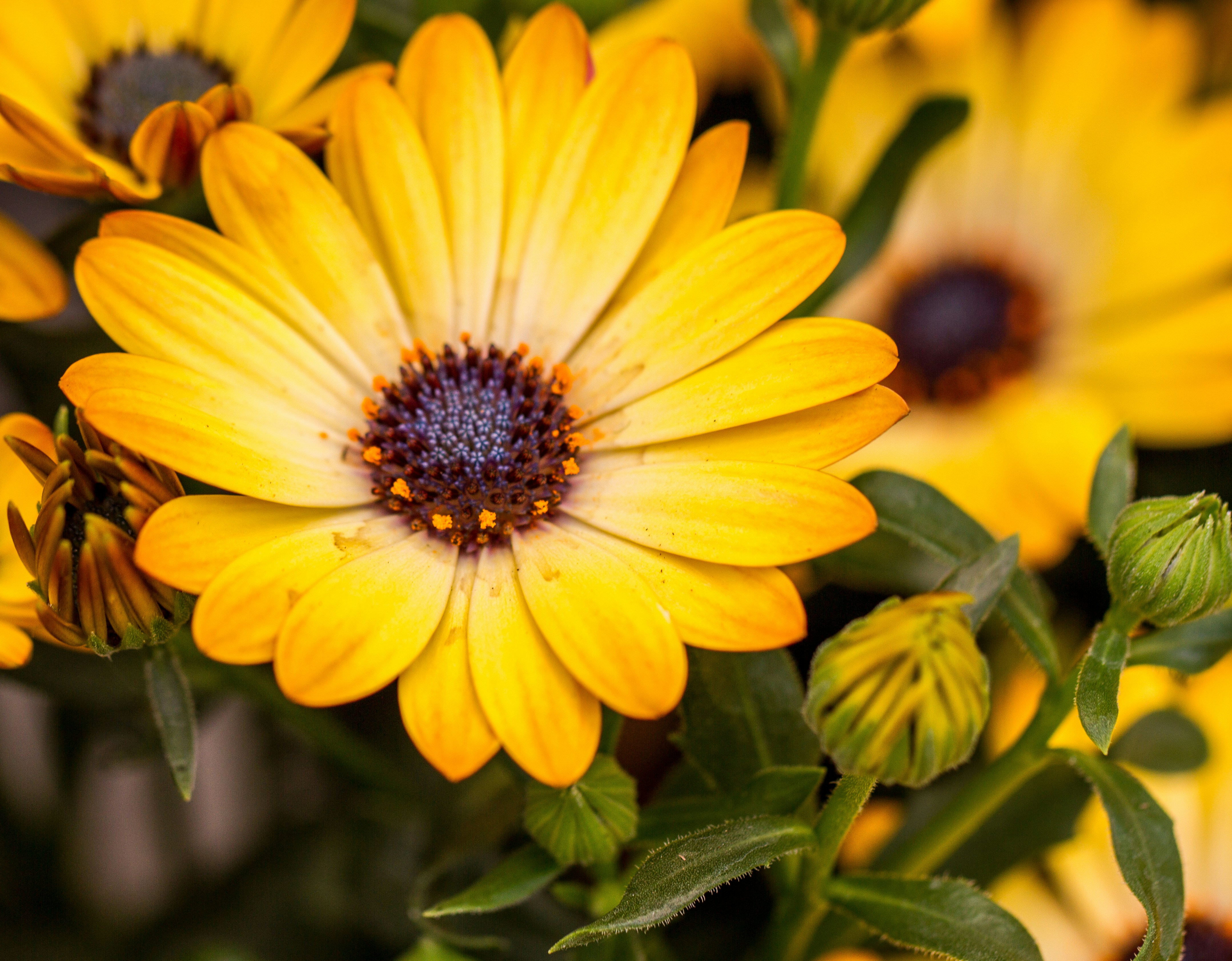 Free Unsplash photo from Ritchie Valens