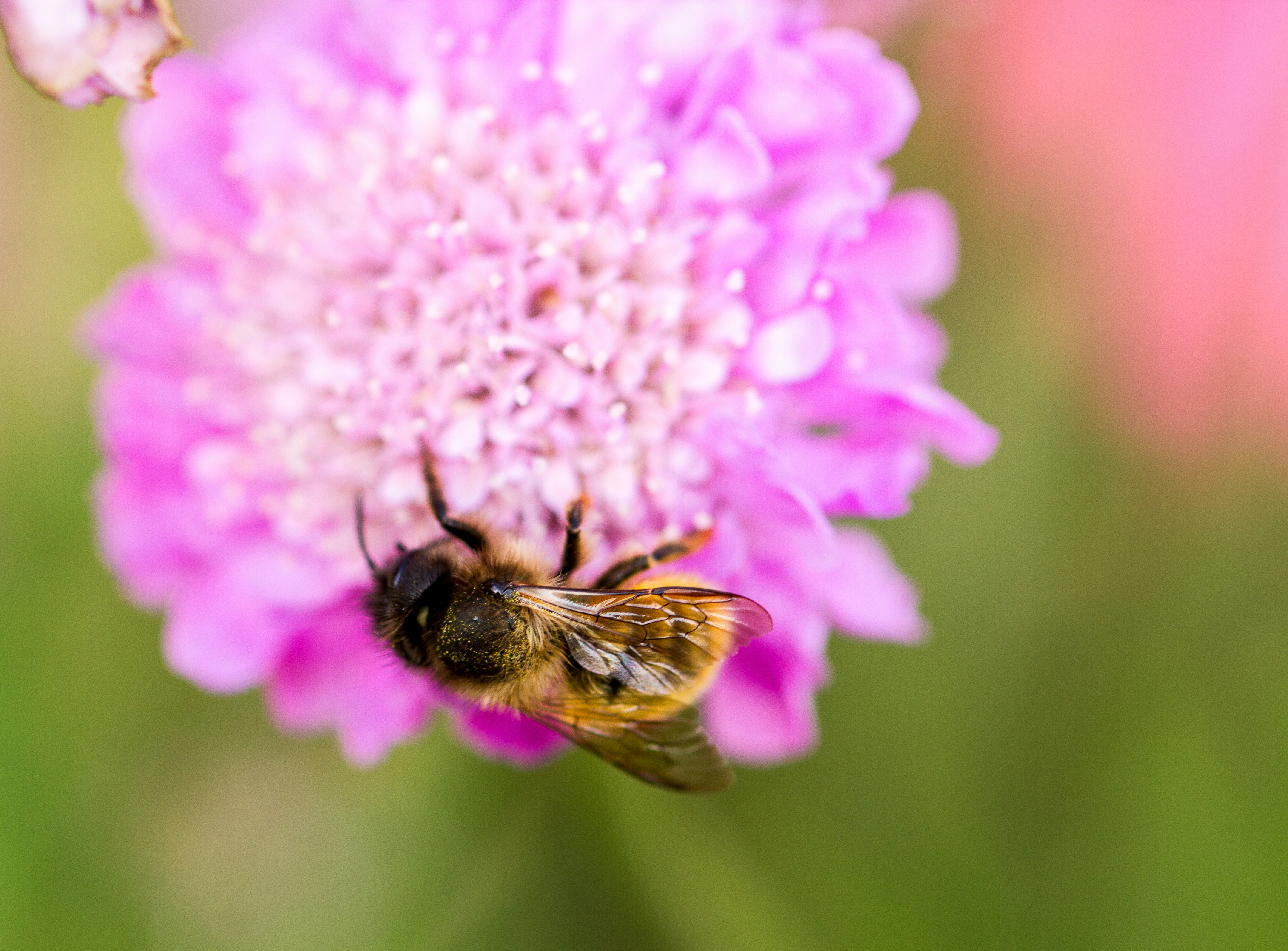 Free Unsplash photo from Ritchie Valens