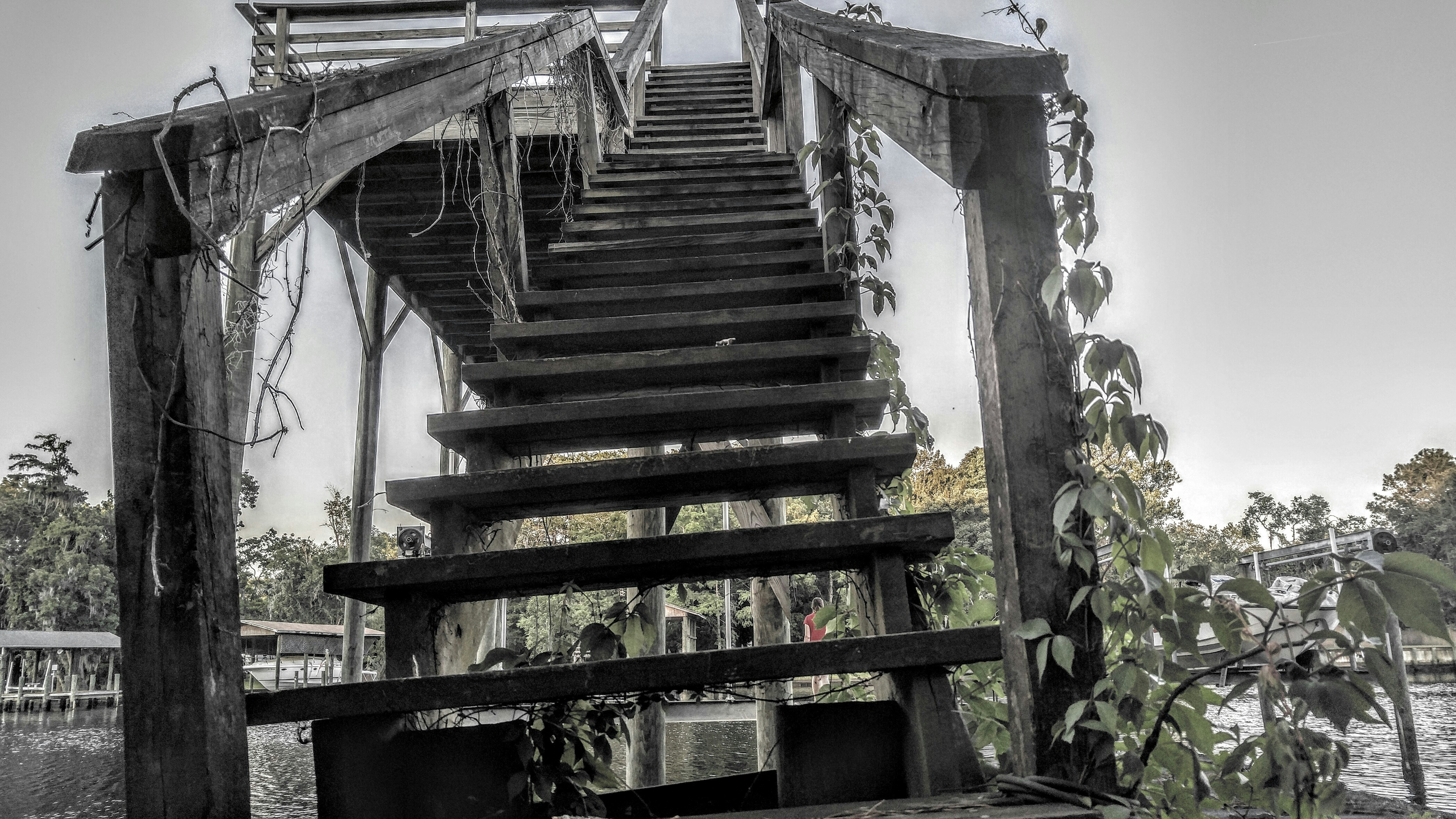 Free Unsplash photo from Paul Stone