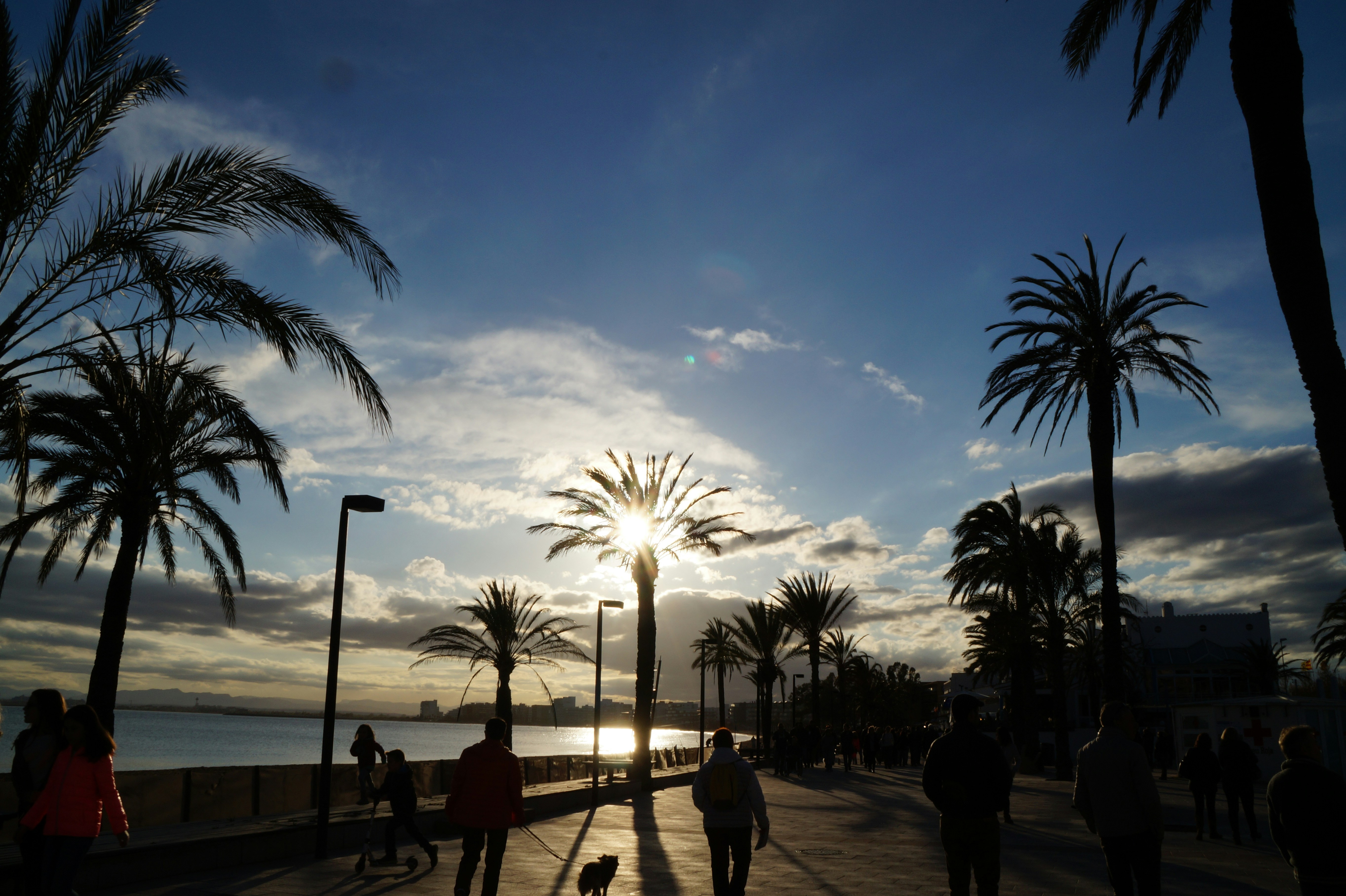 Free Unsplash photo from Arian Balthaus