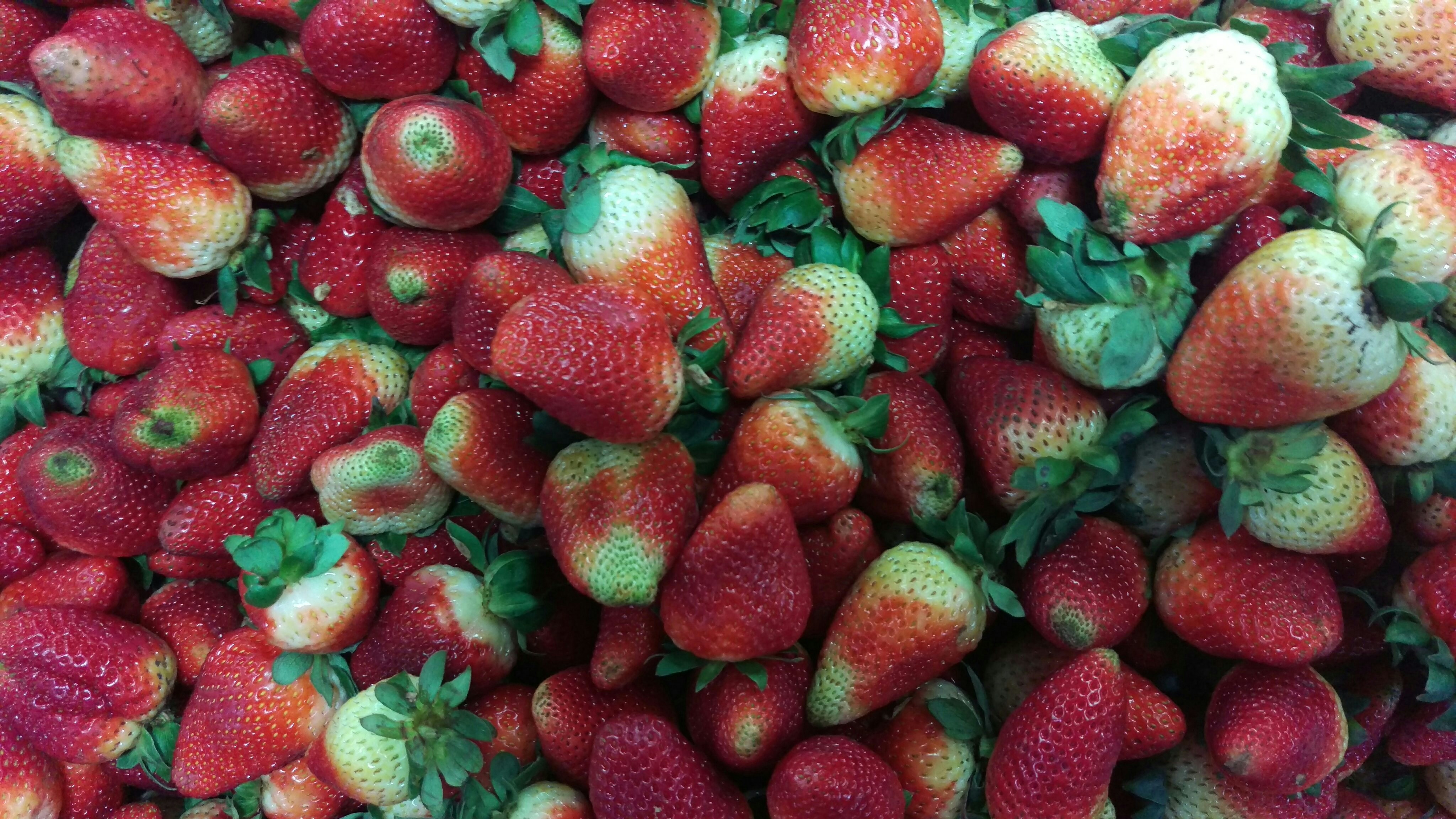 Free Unsplash photo from Manuel Parada