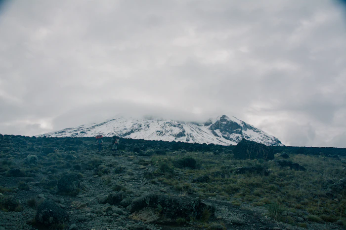 Mount Kilimanjaro Trek photo 1