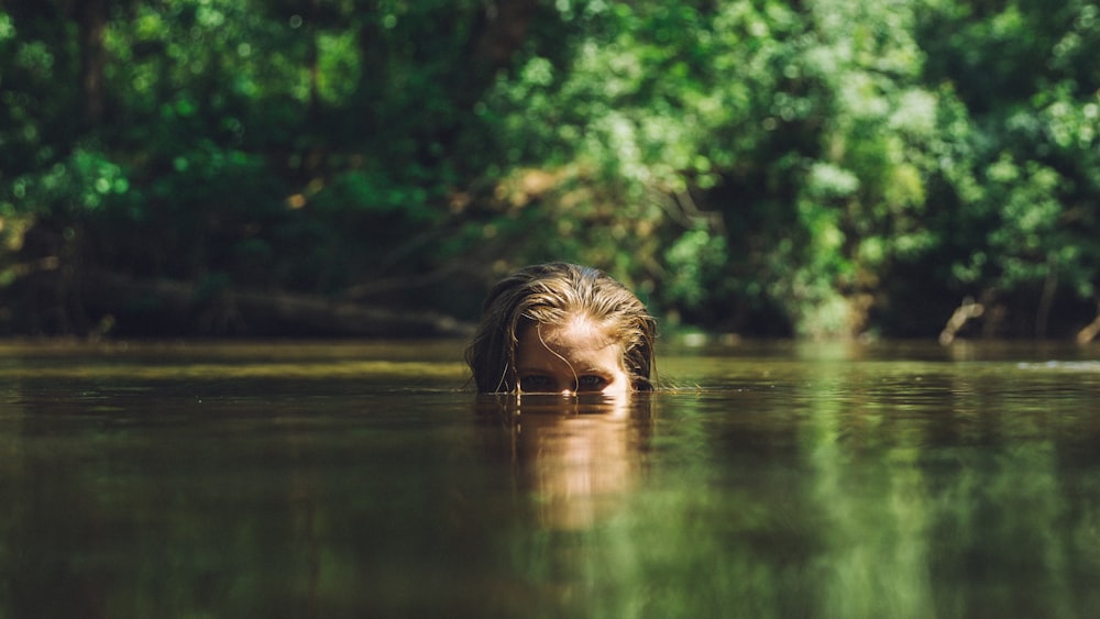 animal submerge in body of water