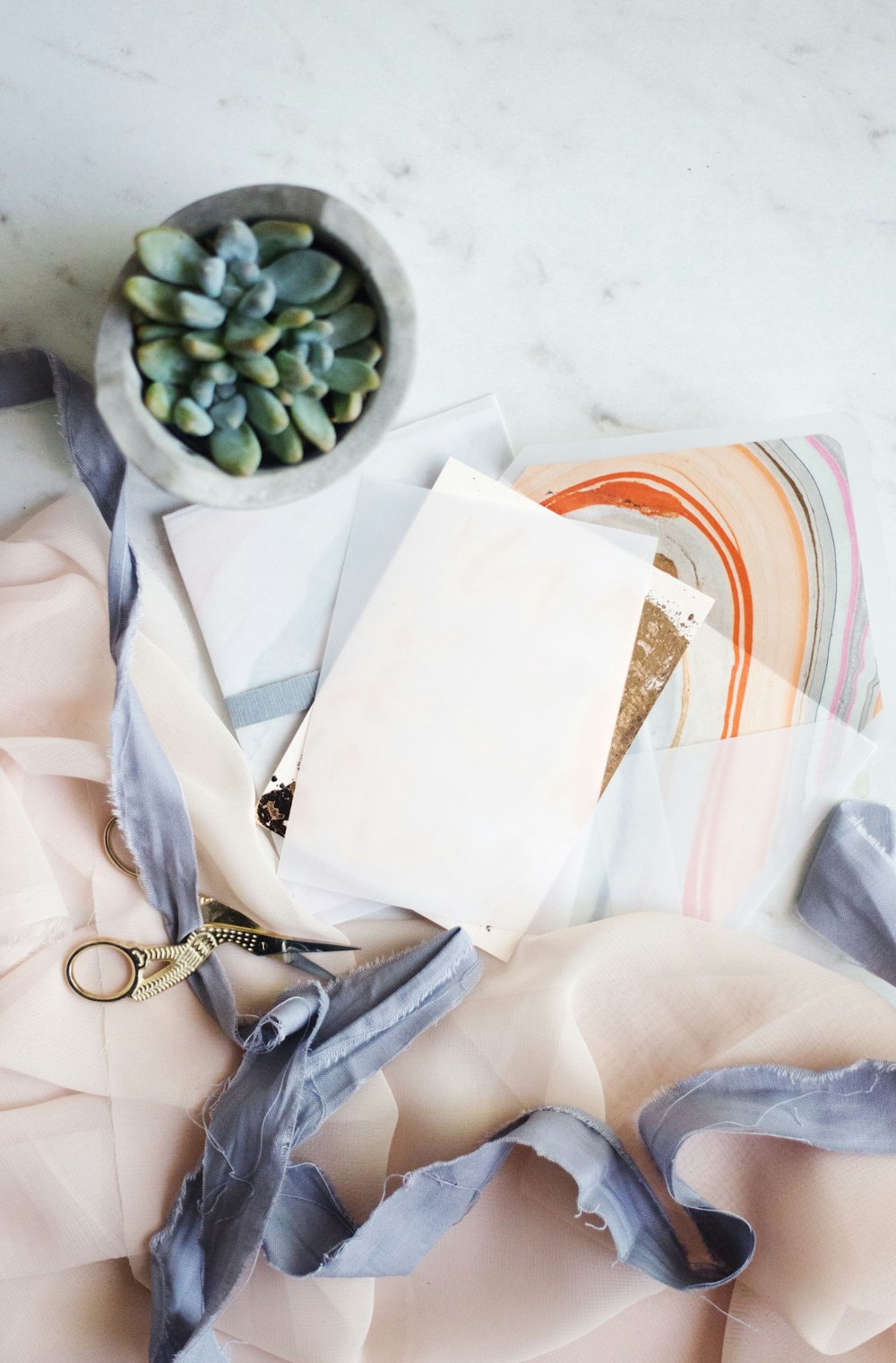 a bowl of succulents and a pair of scissors on a table