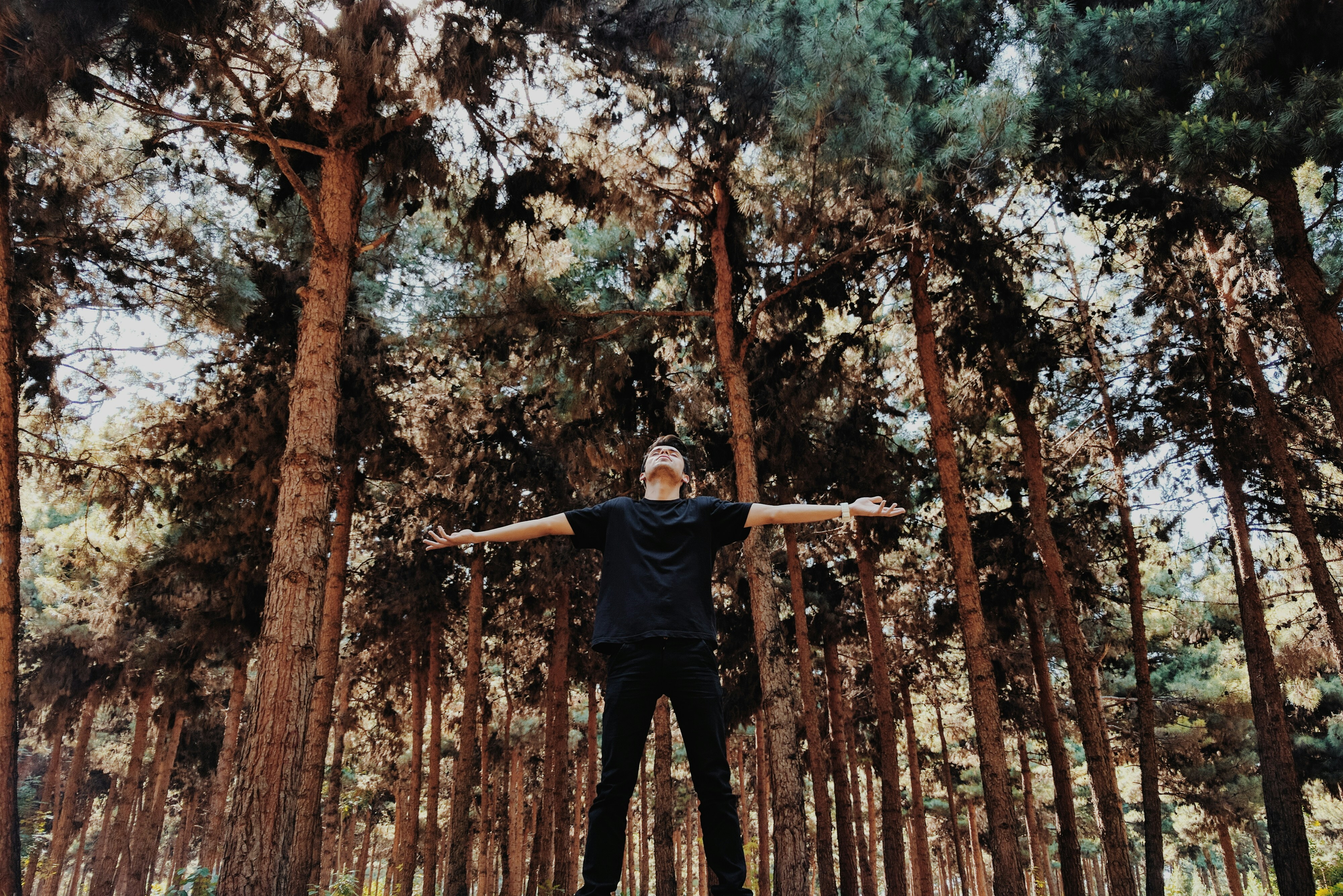 Free Unsplash photo from mohammad alizade